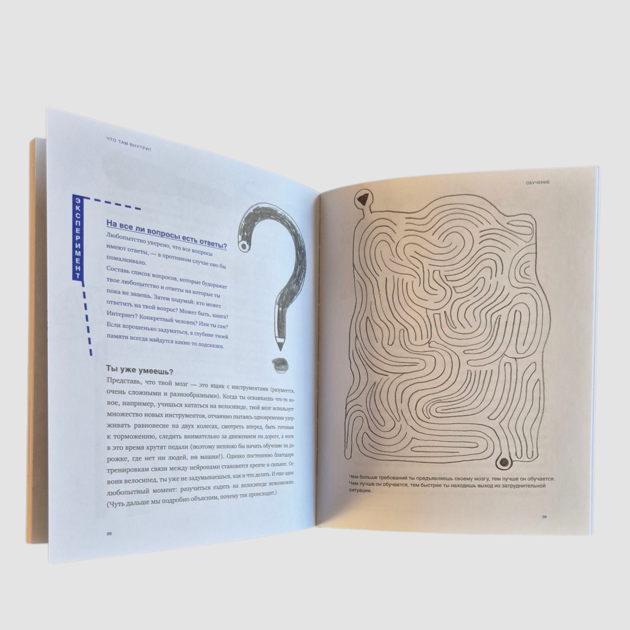 What's Inside? A Guide to Our Brain