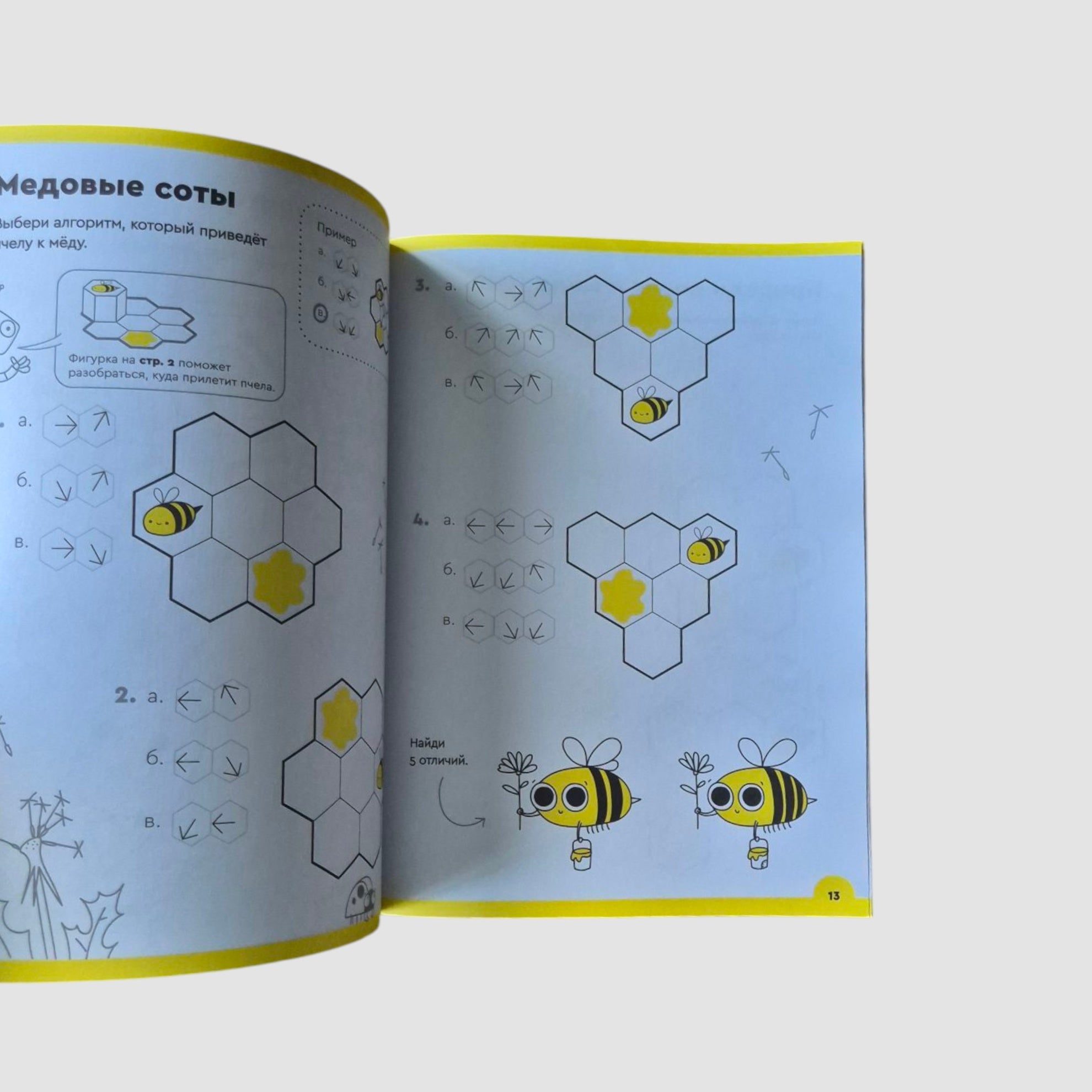 Логика и программирование, 5-6 лет