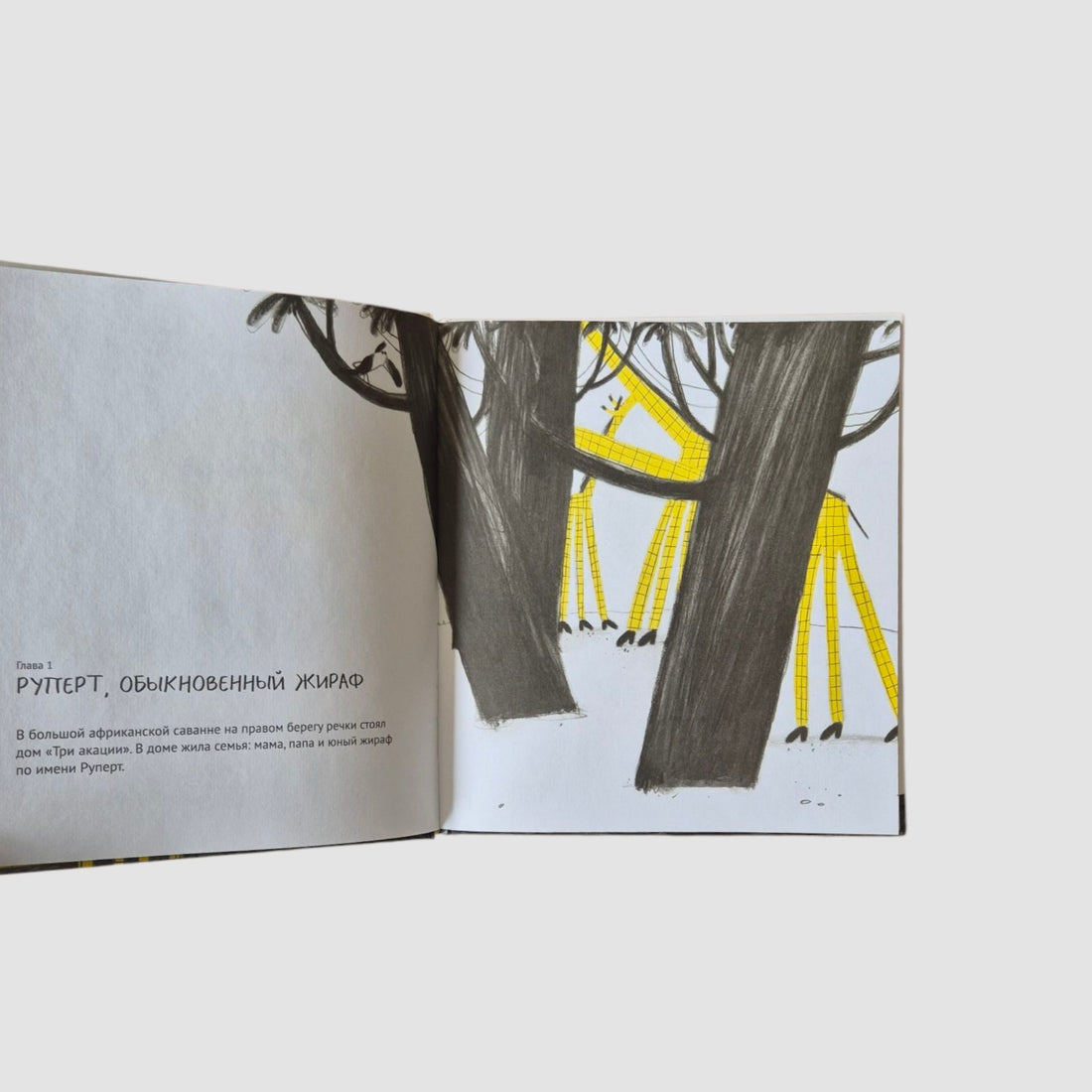 Руперт, Обыкновенный жираф