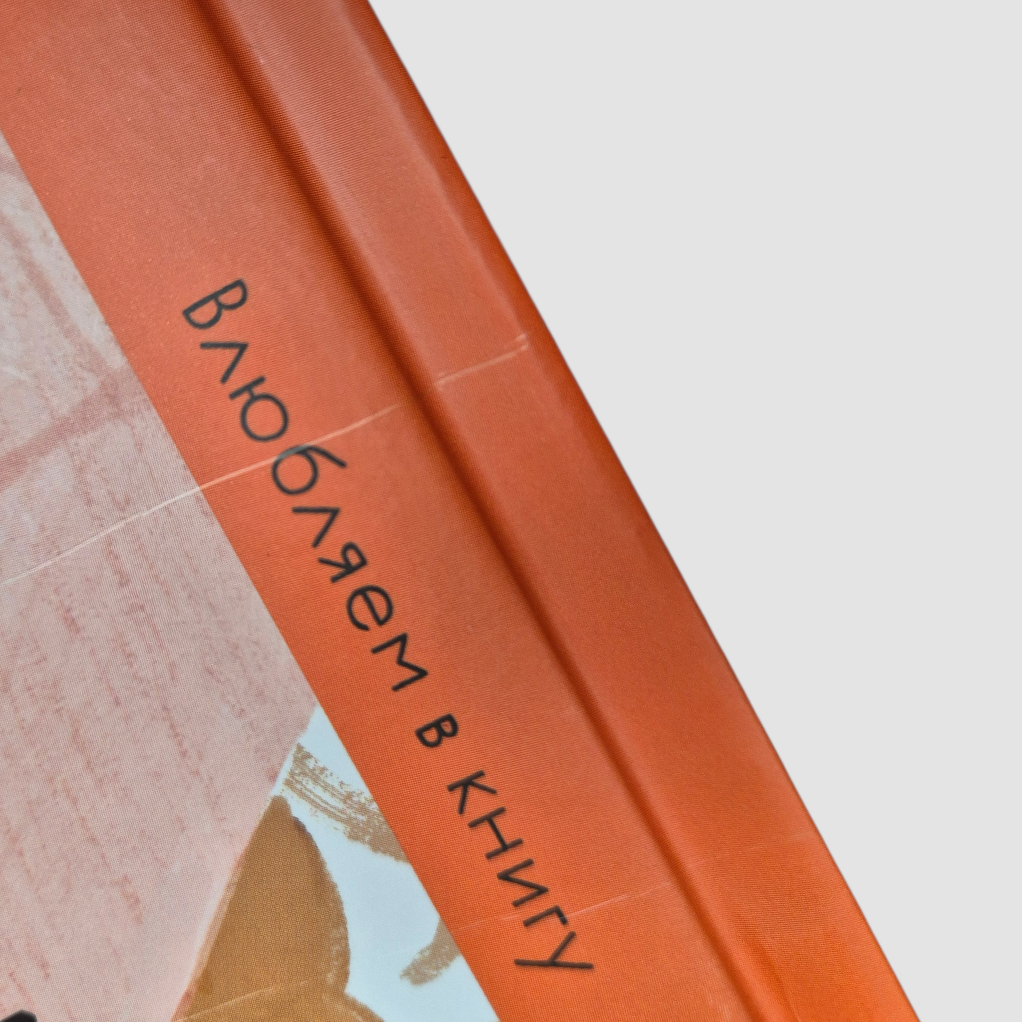 Теремок (внешний дефект)