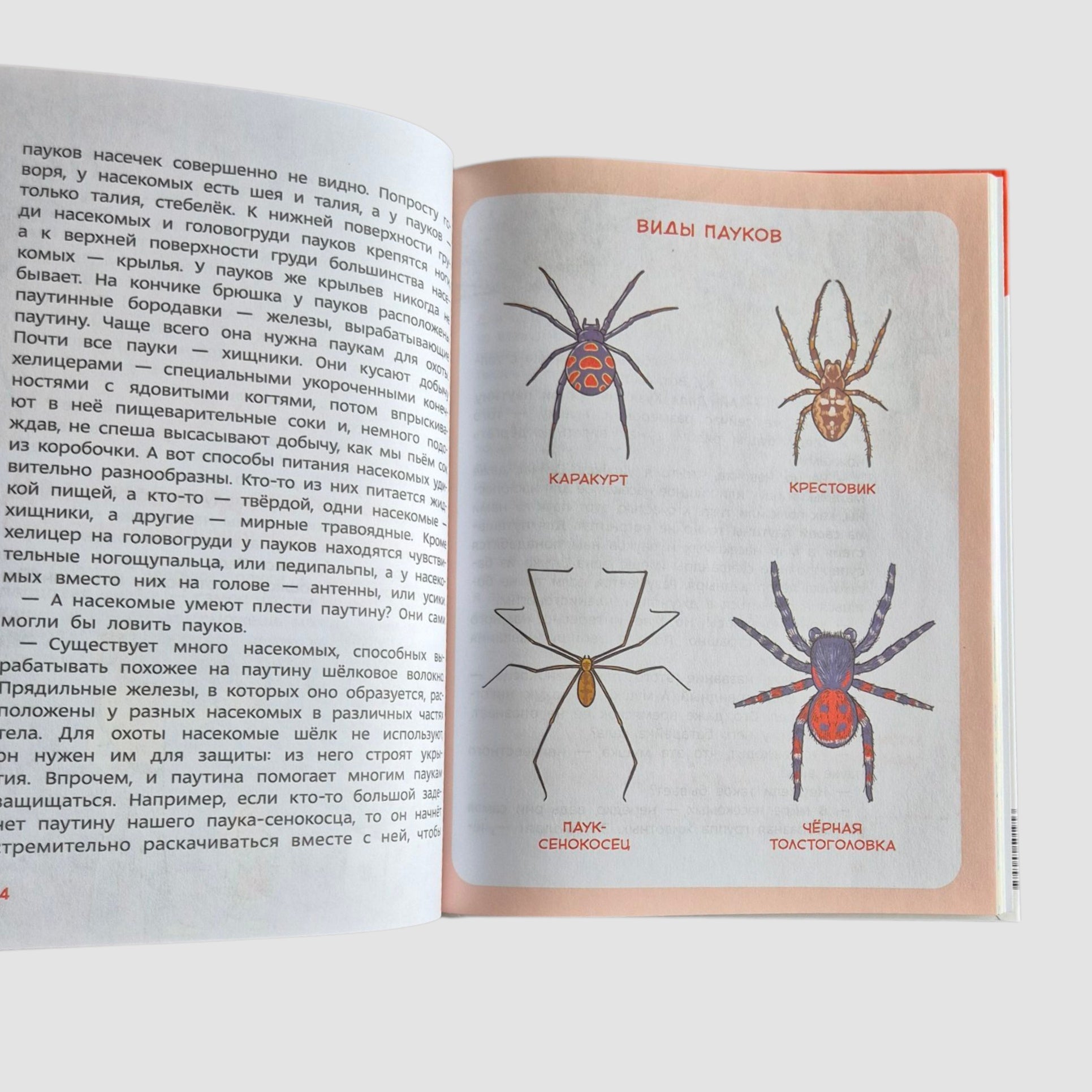 Насекомые и пауки. Детская энциклопедия (Чевостик)