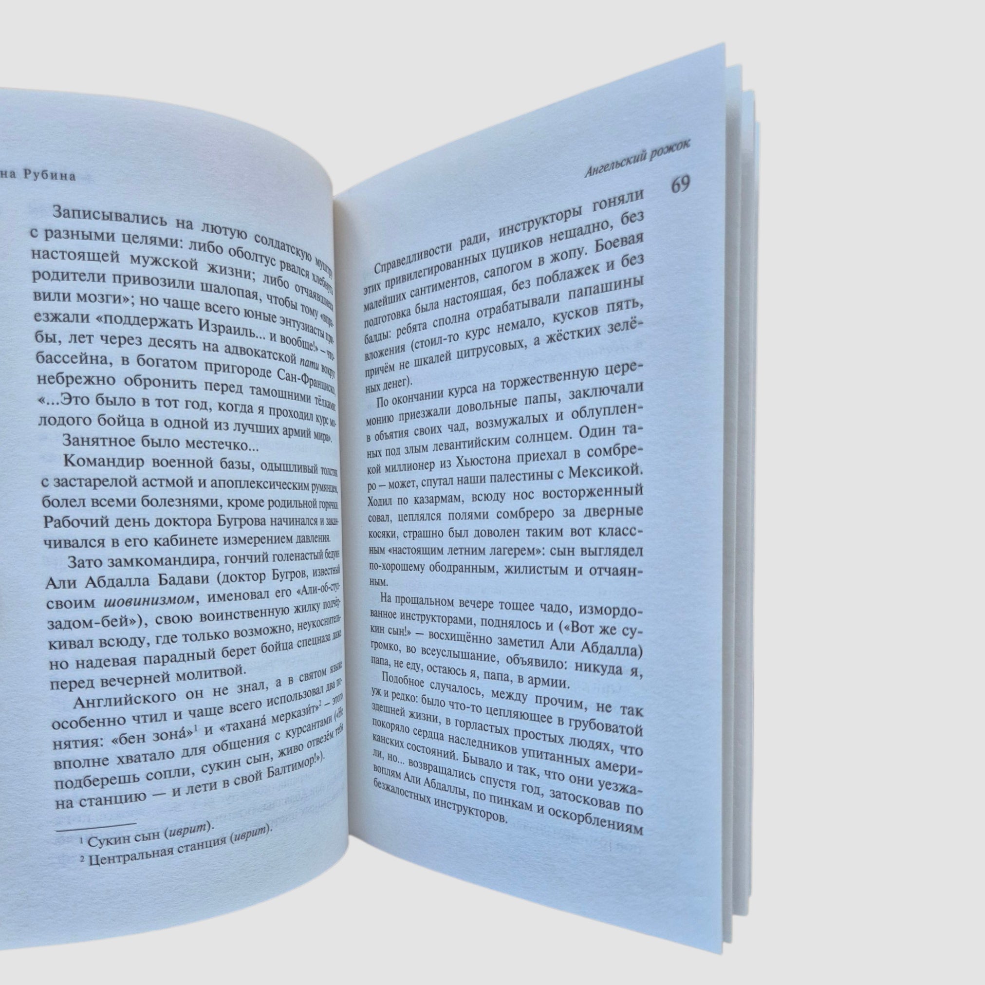 Наполеонов обоз. Ангельский рожок (Книга 3)