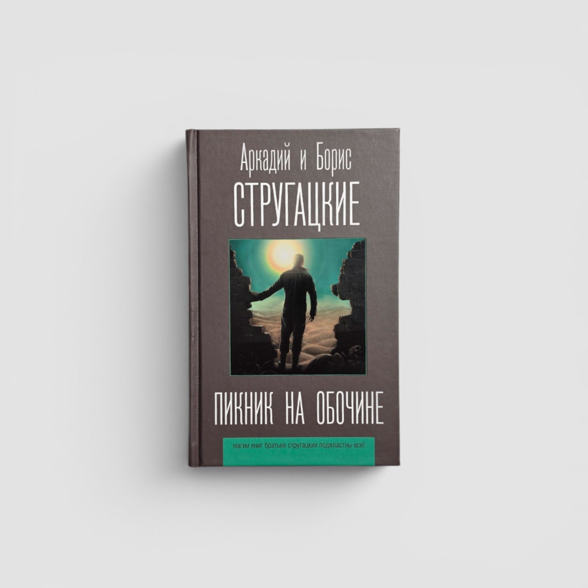 Пикник на обочине