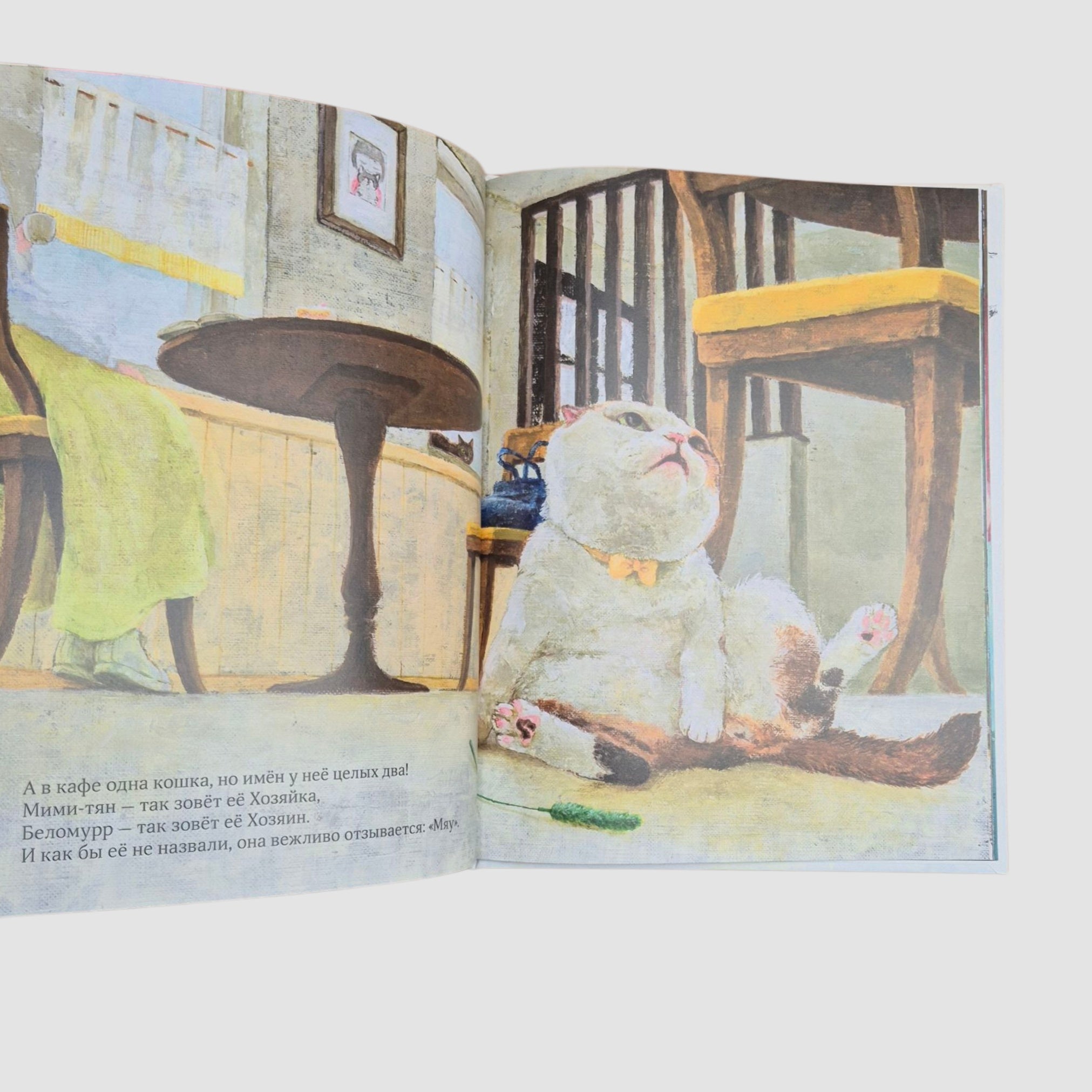 Кот без имени