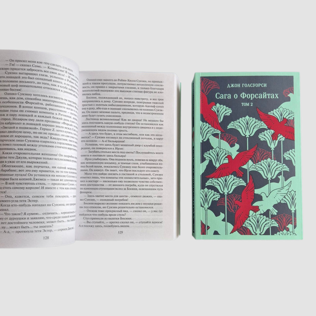 The Forsyte Saga (a set of two books)