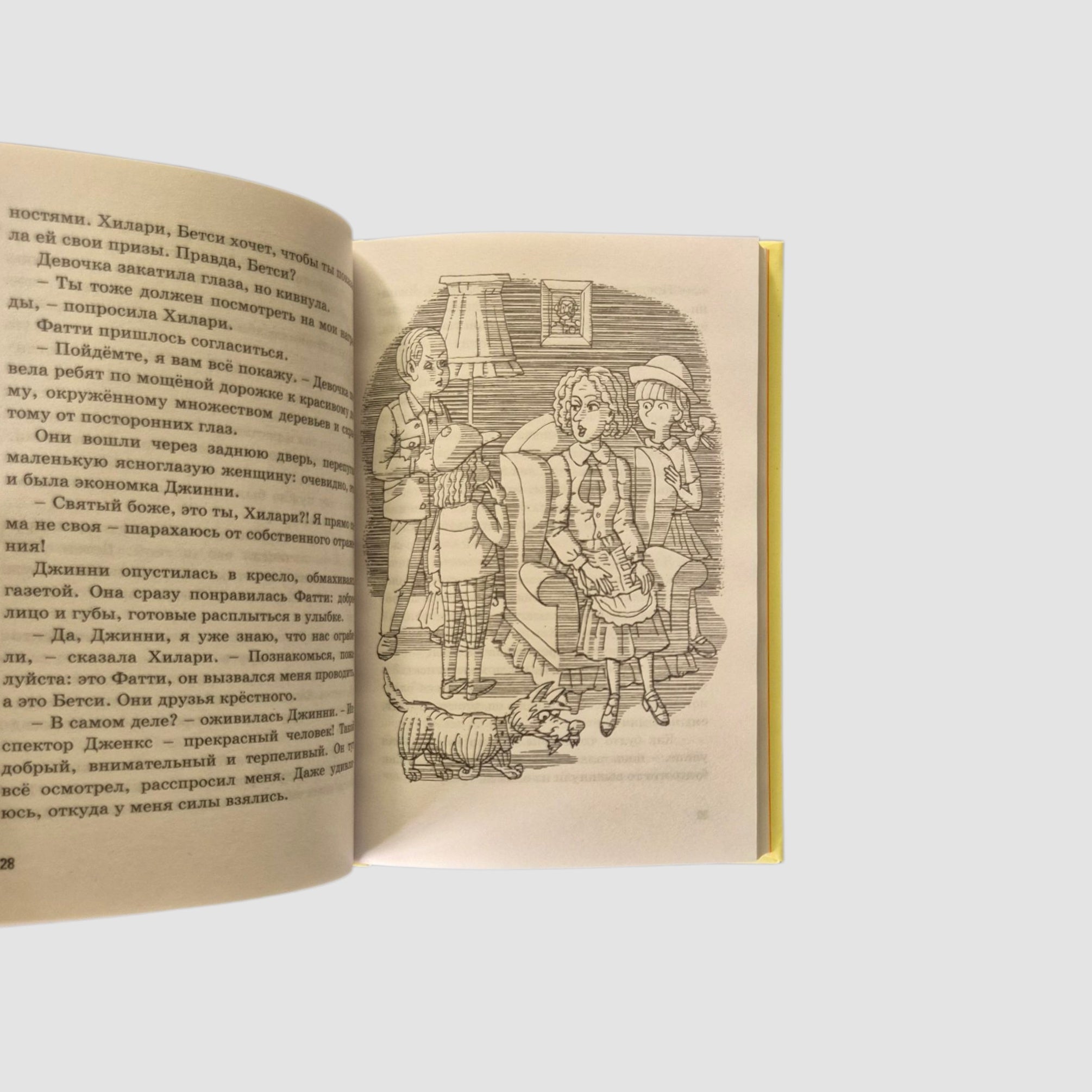 Пять юных сыщиков. Тайна вора-невидимки