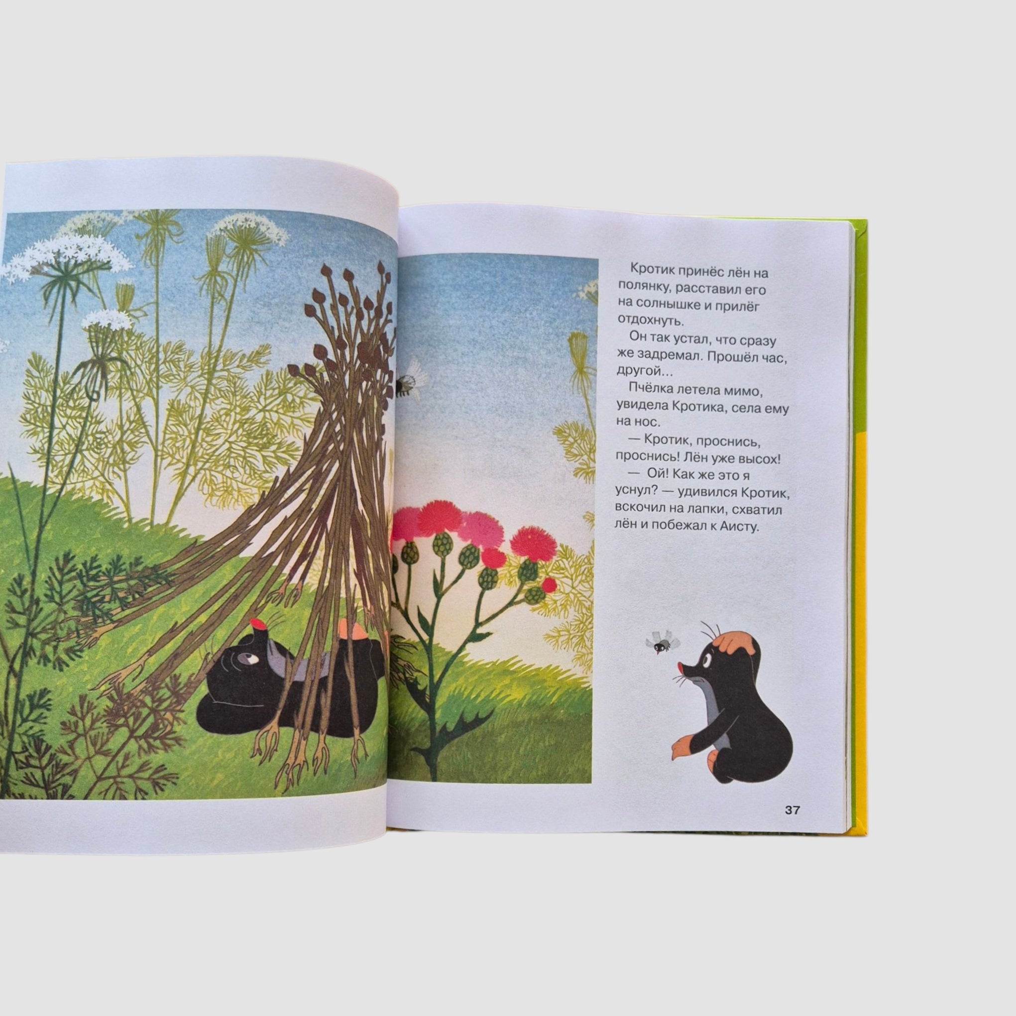 Кротик. Большая книга