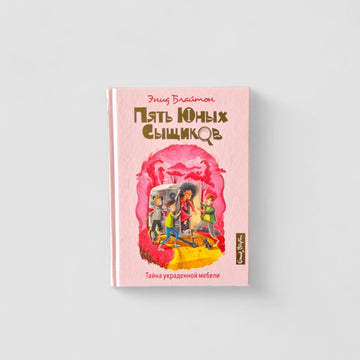 Five Young Detectives. The Mystery of the Stolen Furniture