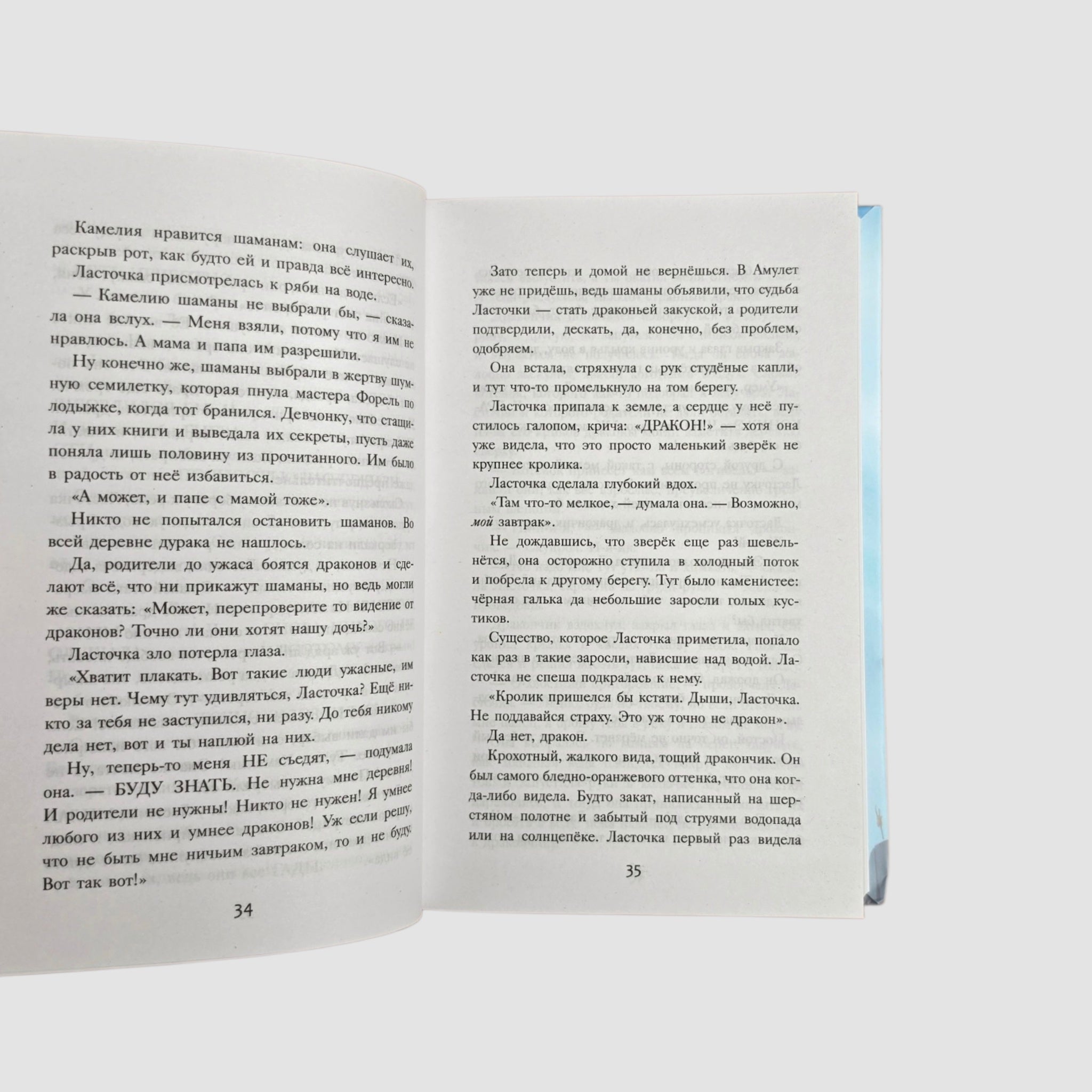 Драконья сага. Легенды. Драконоборец