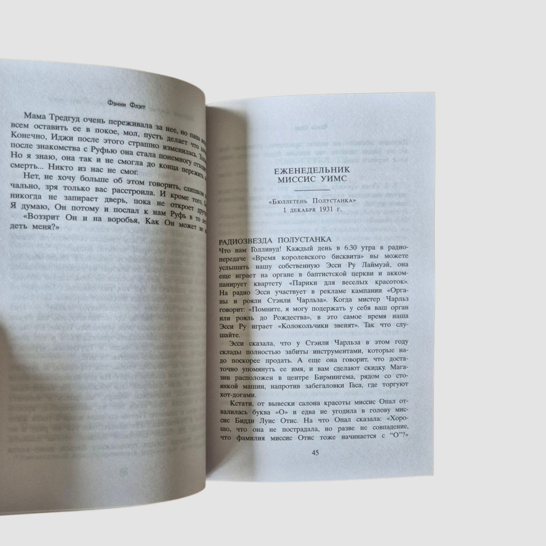 Fried green tomatoes at the Polustanok cafe