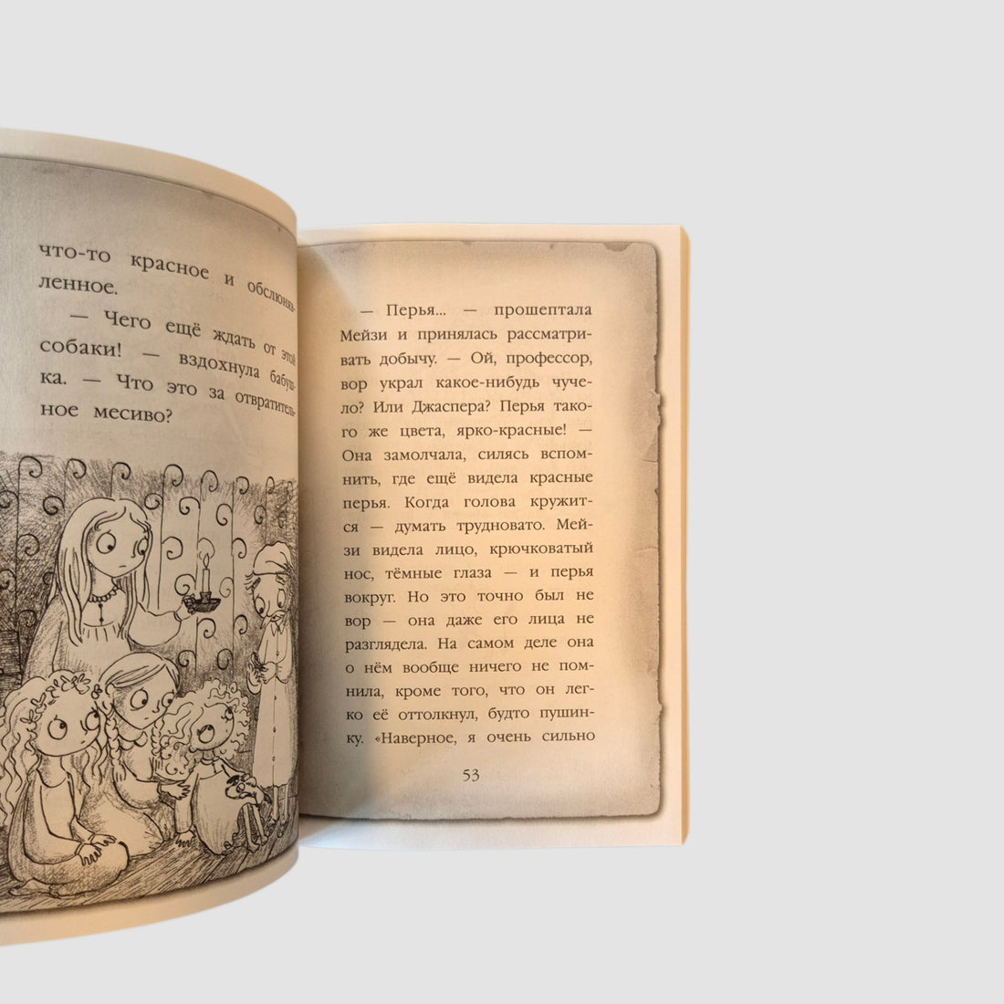 Мейзи Хитчинс. Тайна мальчика из джунглей