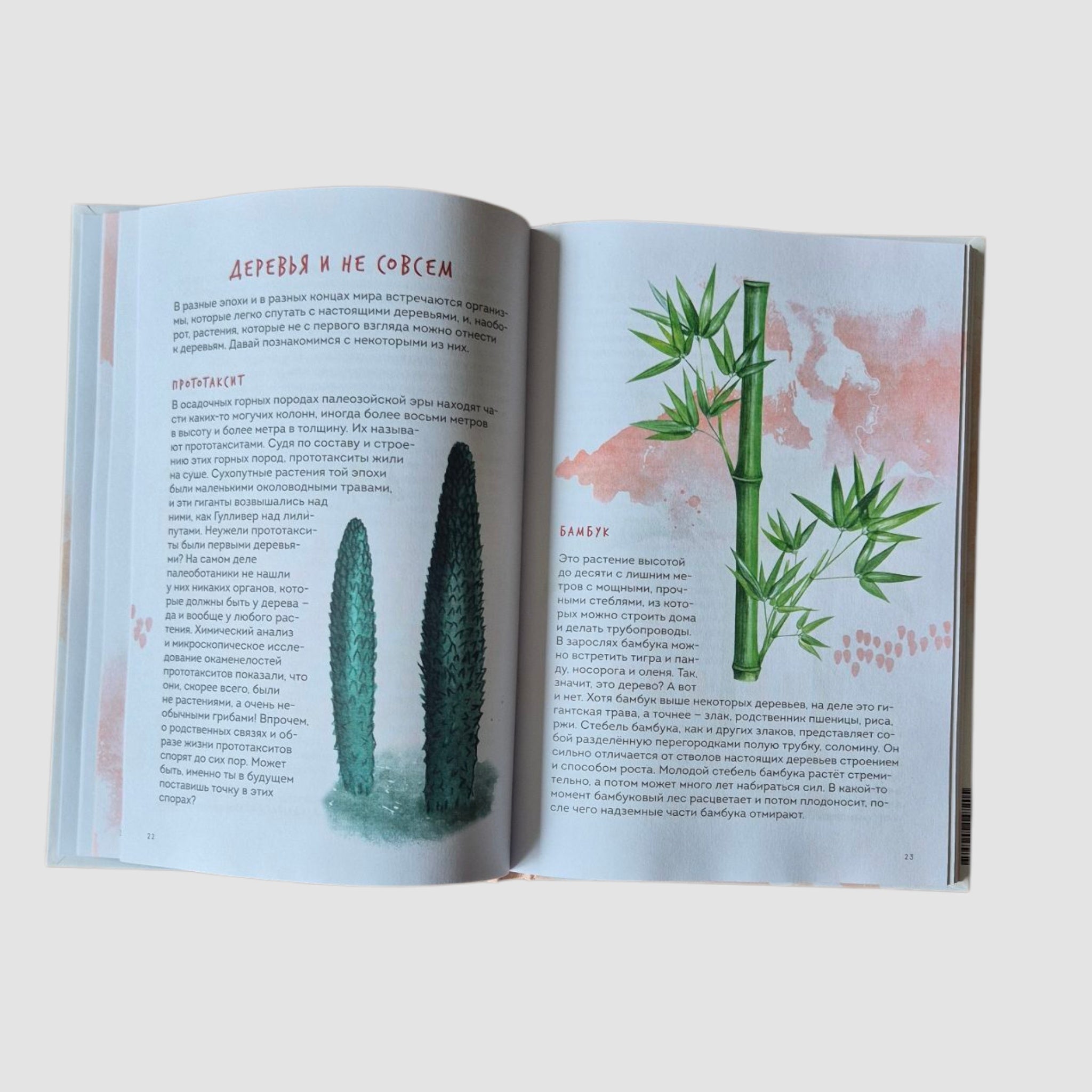 Деревья. Атлас-определитель