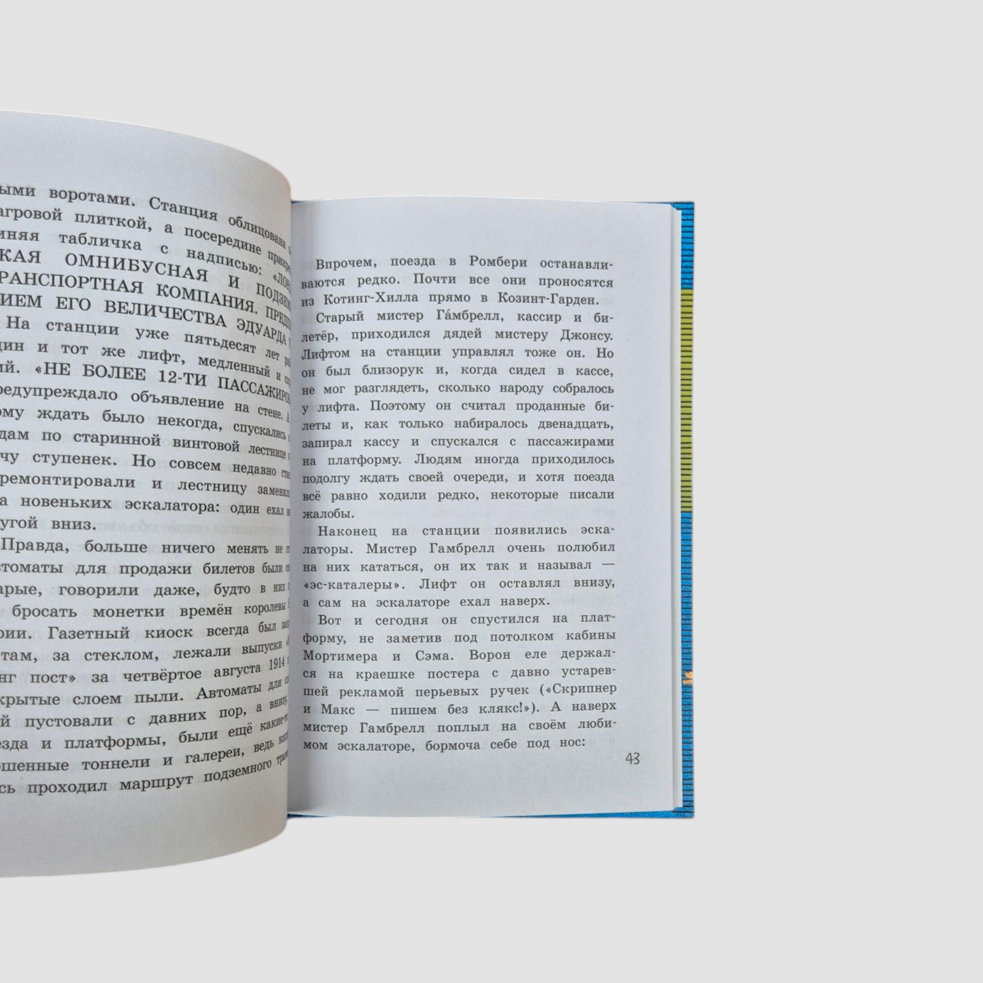 Arabella and the Raven