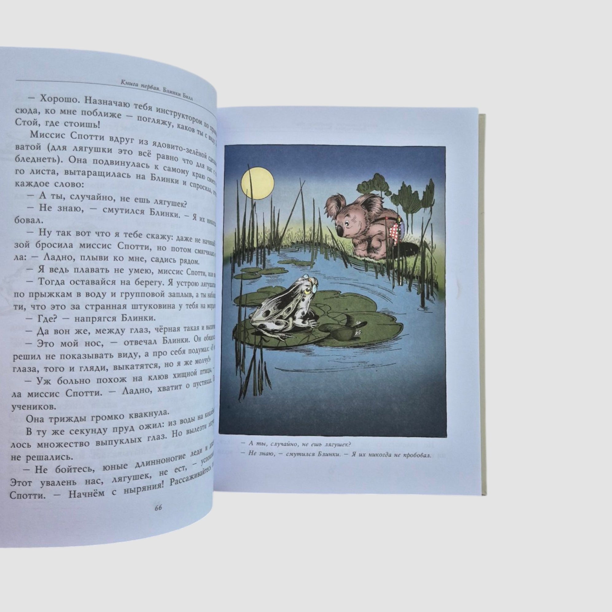 Blinky Bill: The Adventures of the Naughty Koala