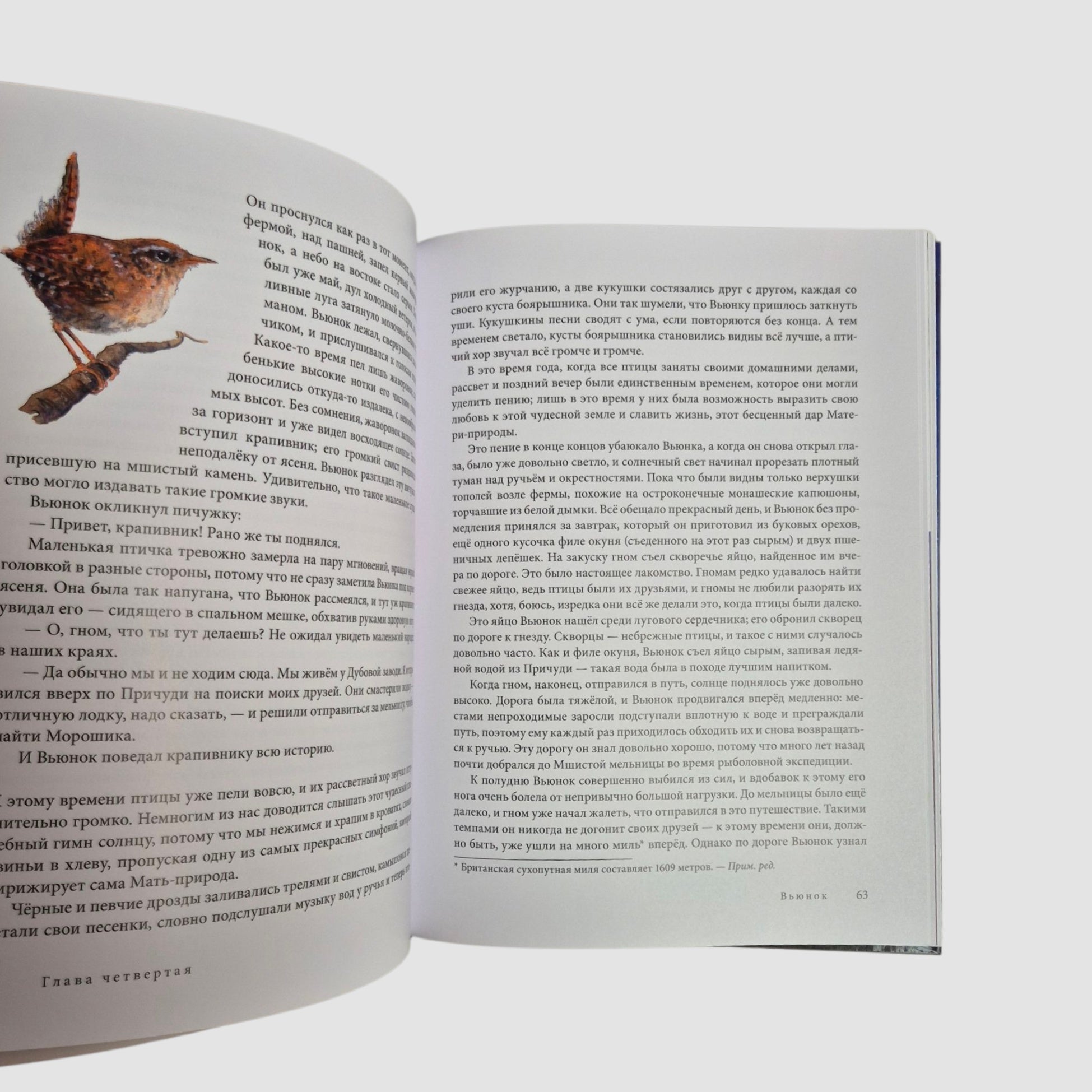 Вверх по Причуди и обратно. Удивительные приключения трех гномов