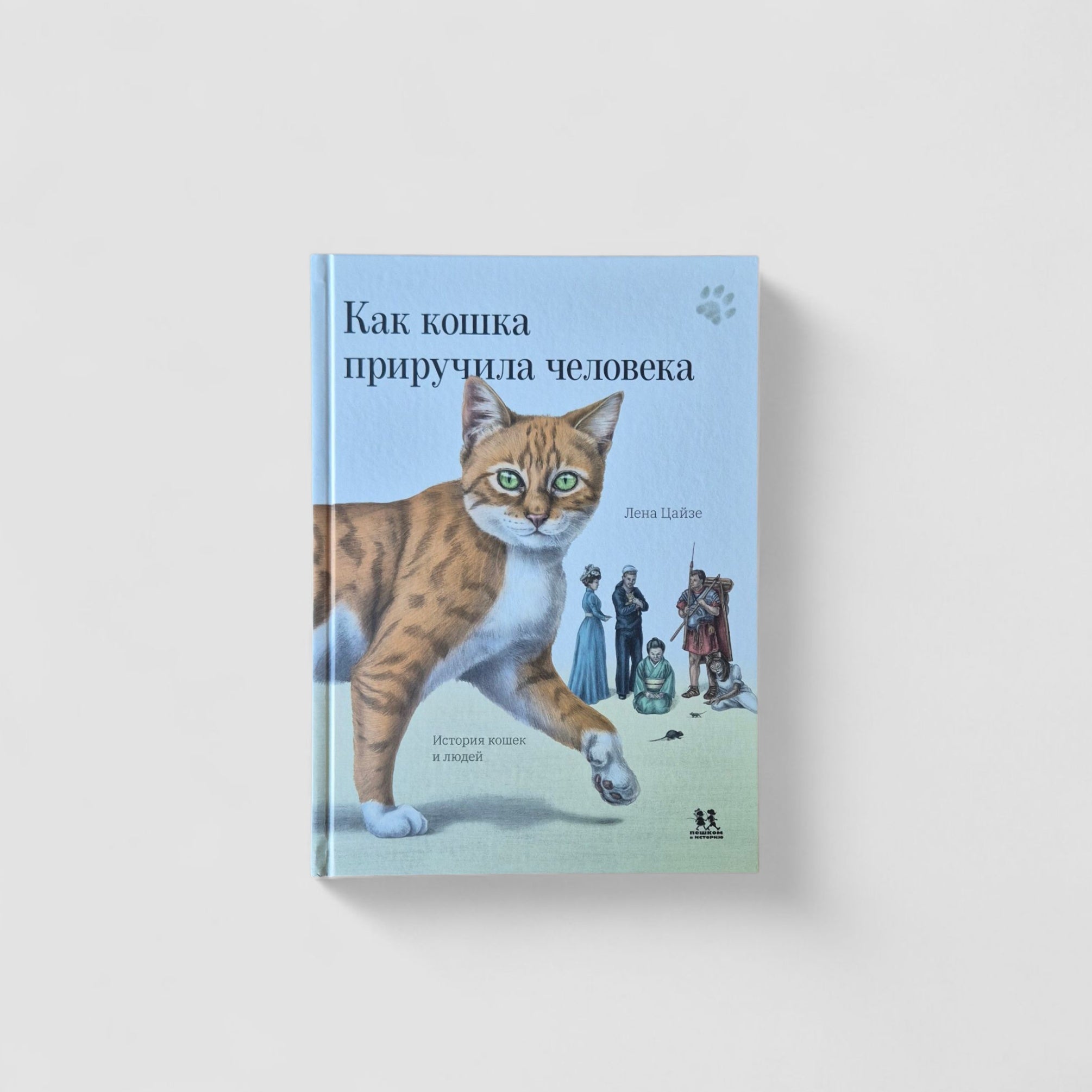 Как кошка приручила человека: история кошек и людей