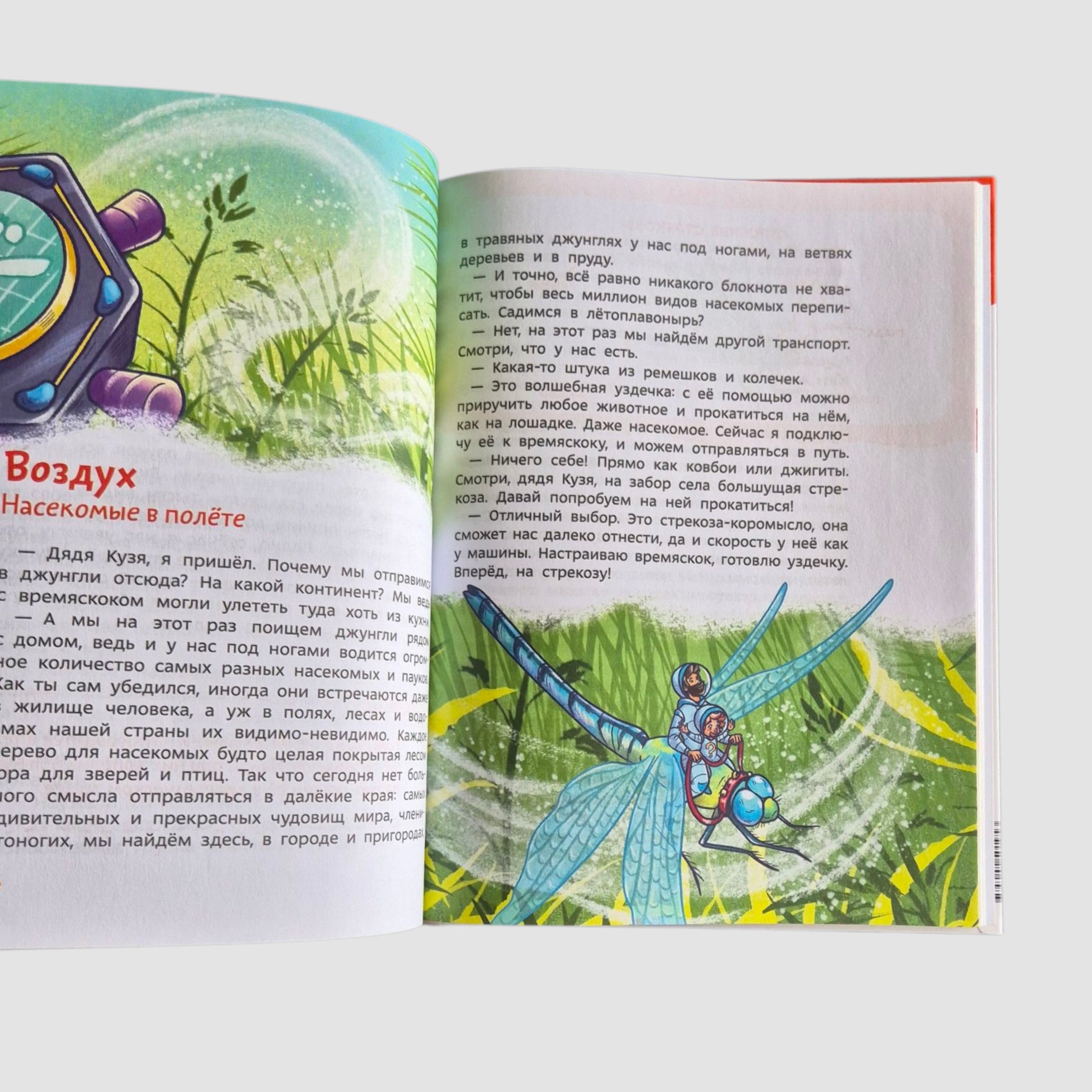 Насекомые и пауки. Детская энциклопедия (Чевостик)