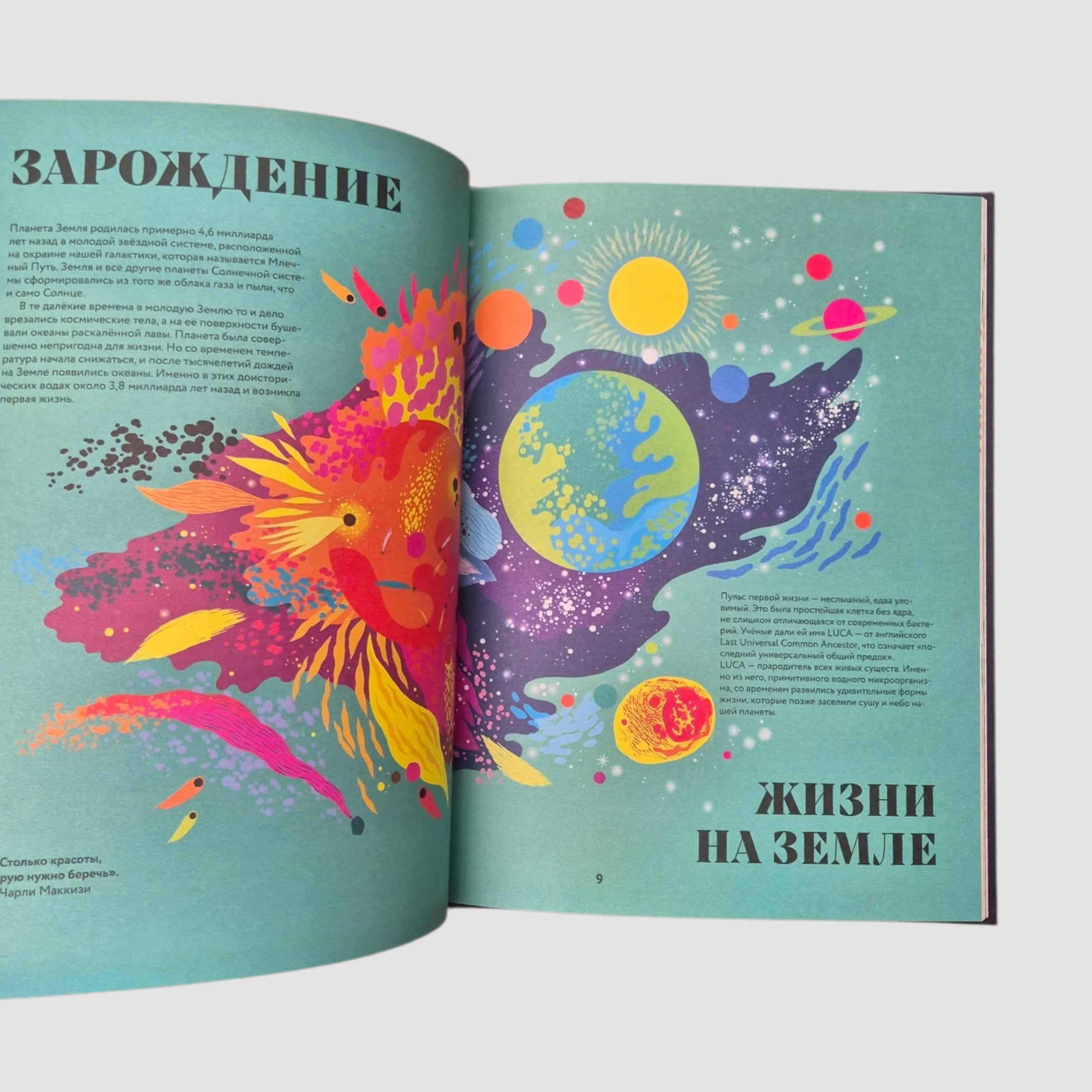 Чудесная книга жизни