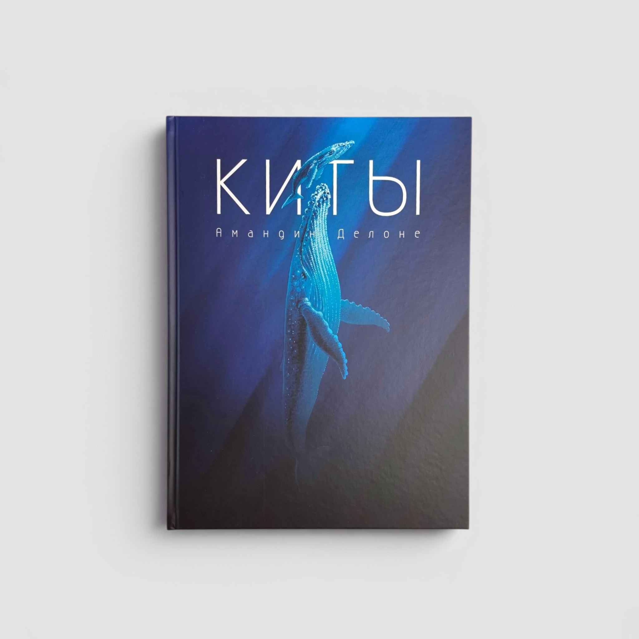 Киты