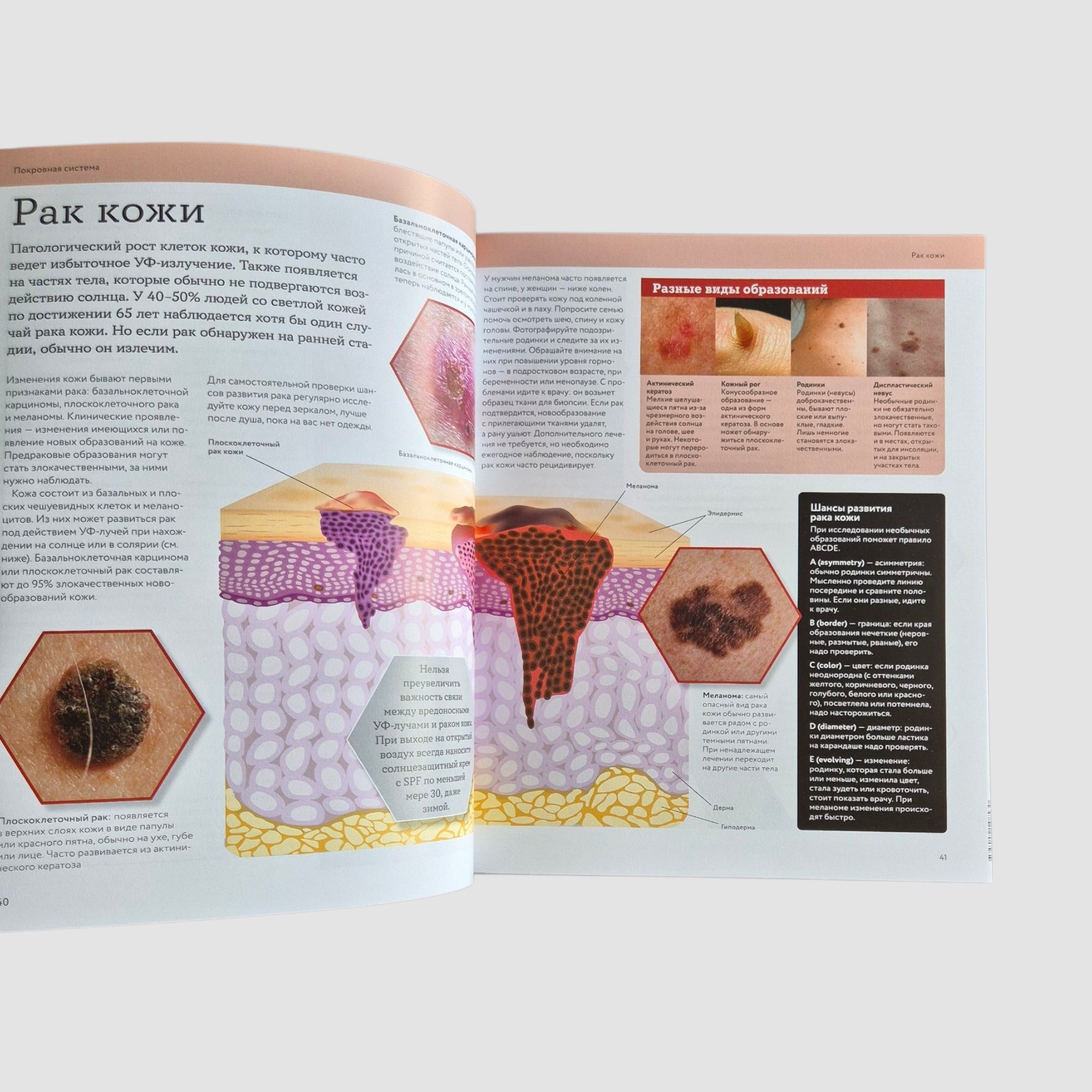 Анатомия человека