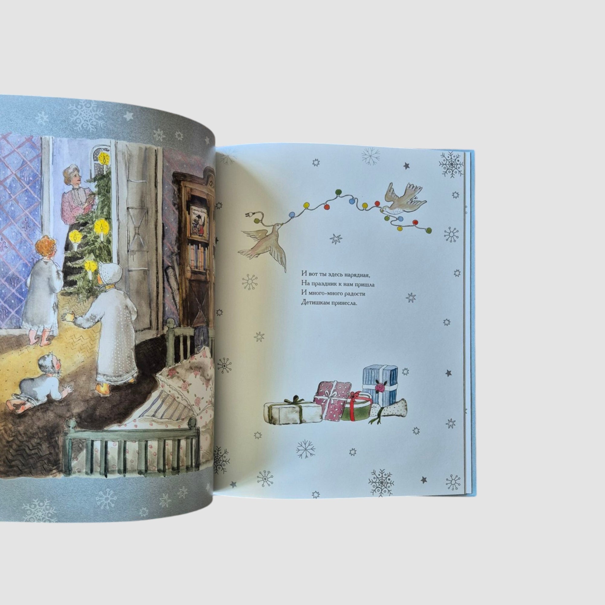 A Christmas tree was born in the forest