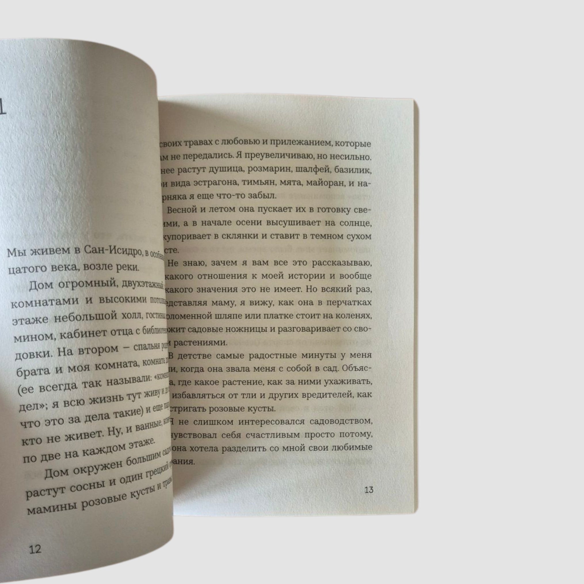 Глаза хаски