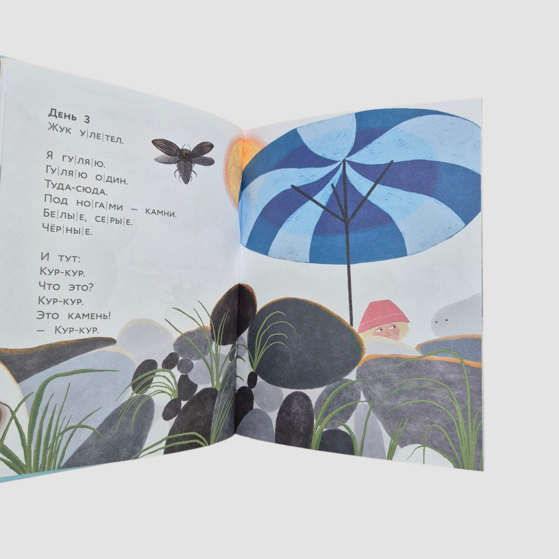 Живой камень