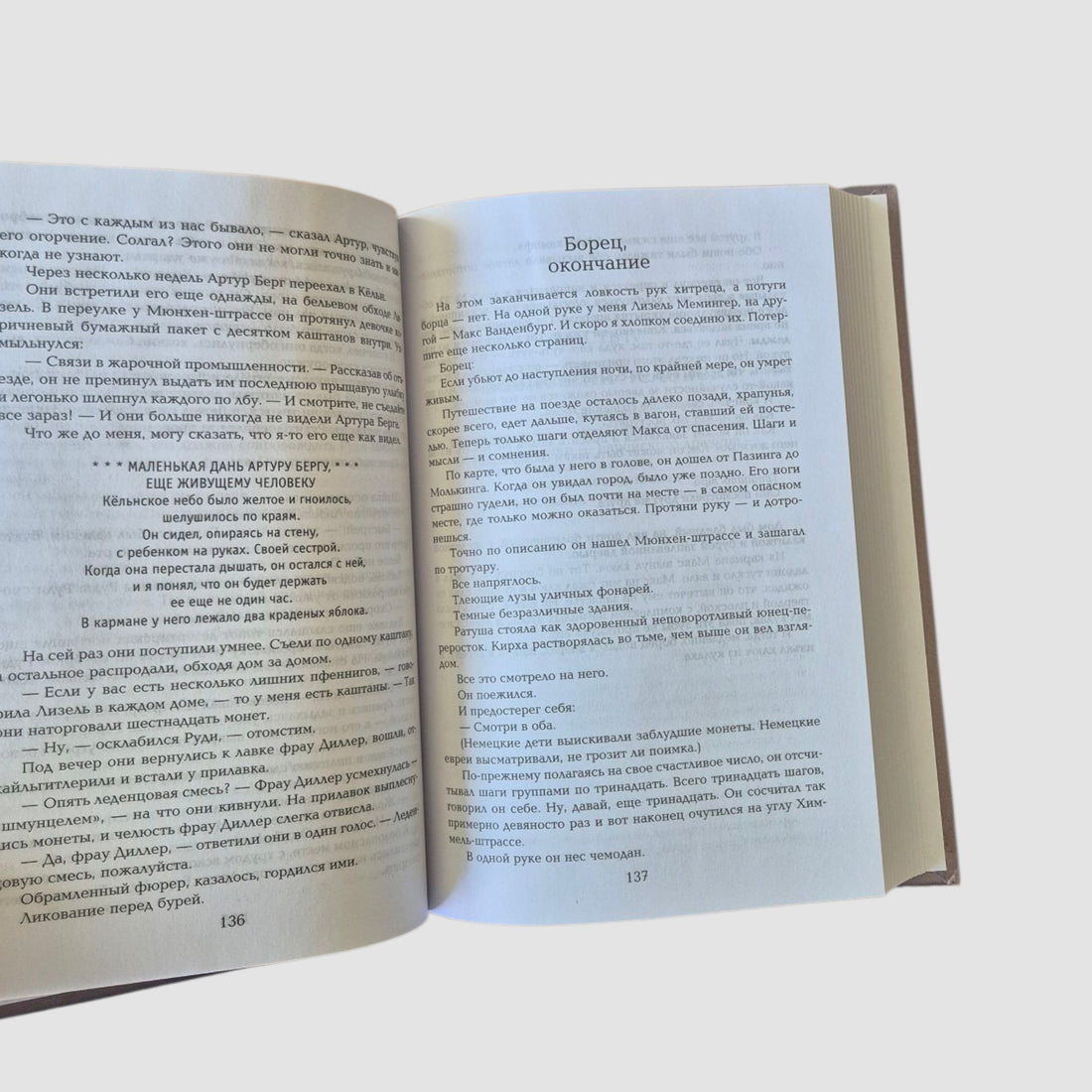 Книжный вор