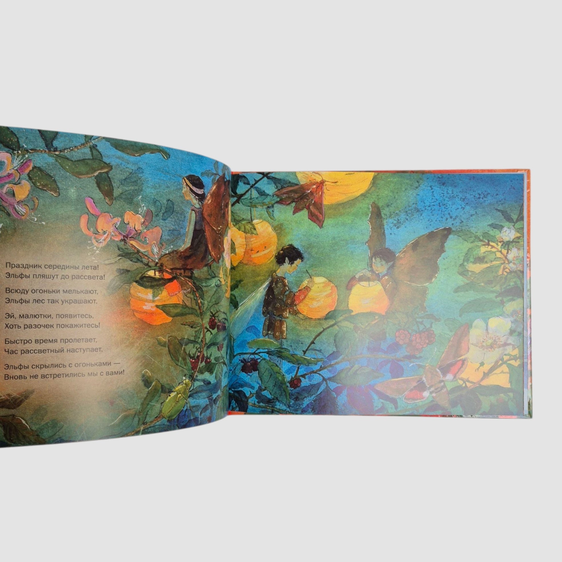 Летим в страну эльфов