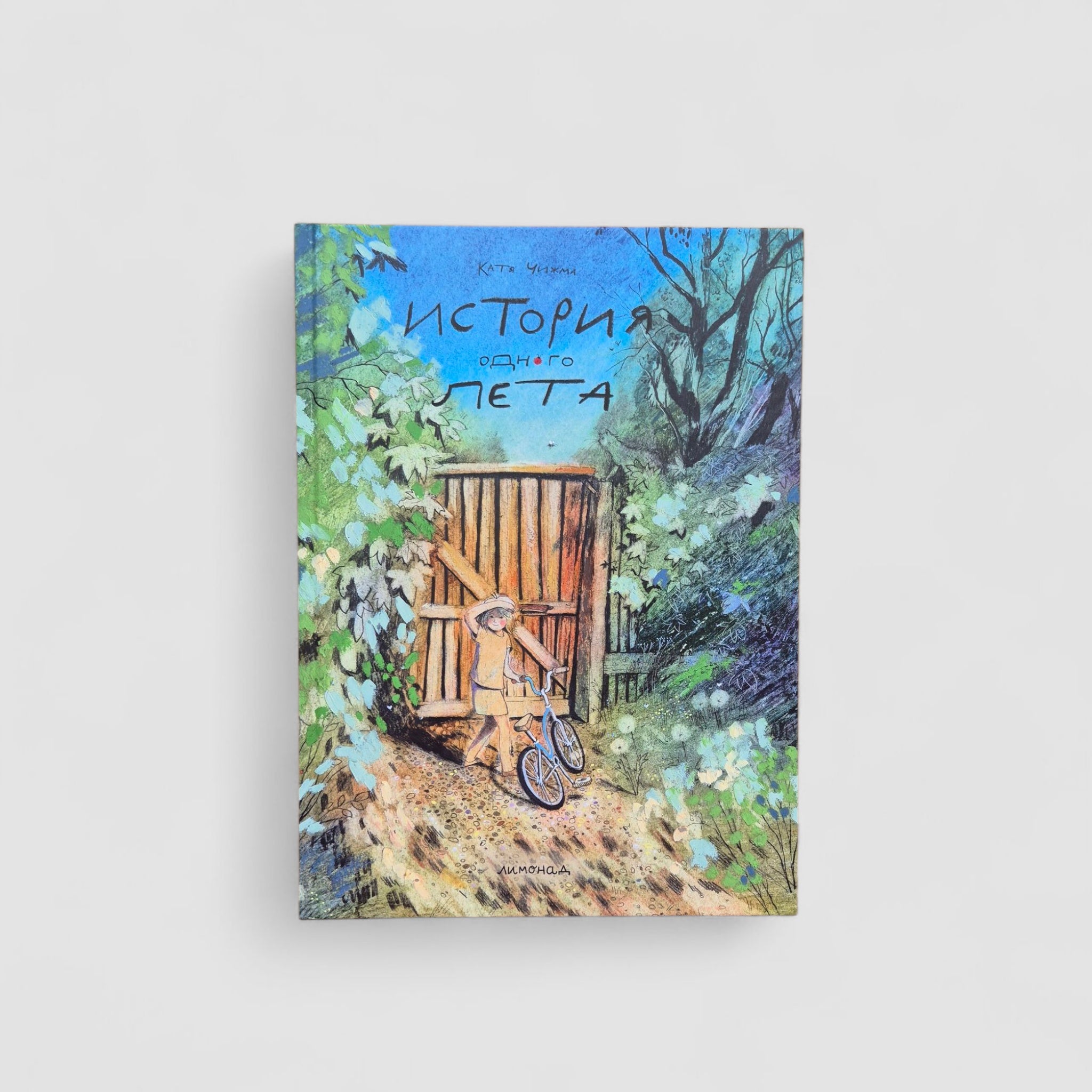 История одного лета