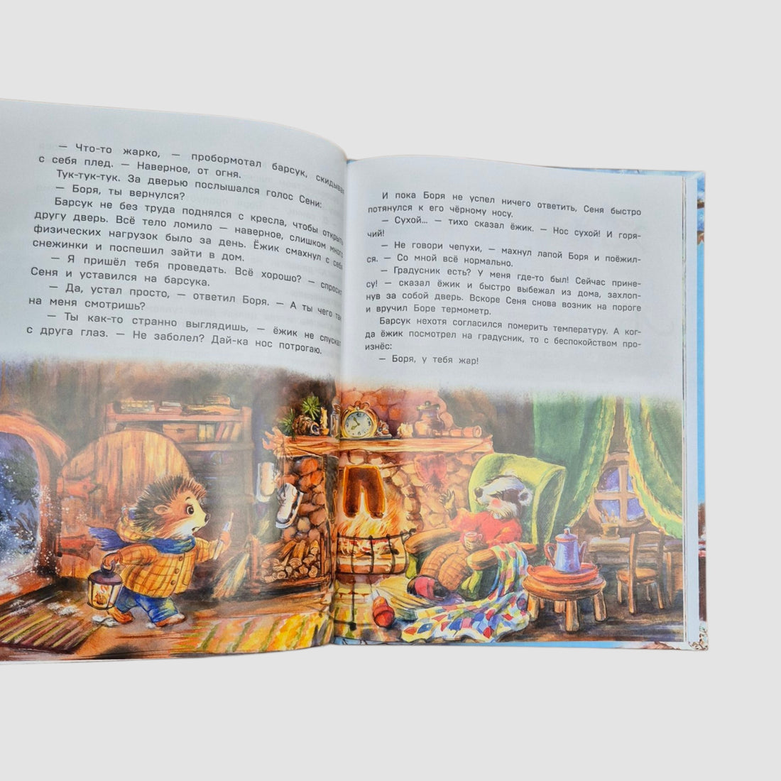 Тайна заснеженного леса