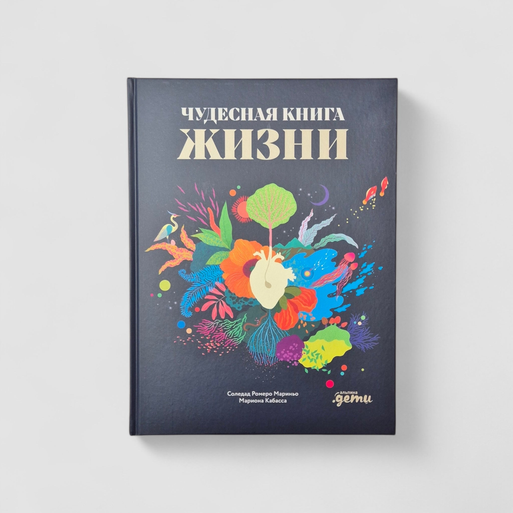 Чудесная книга жизни