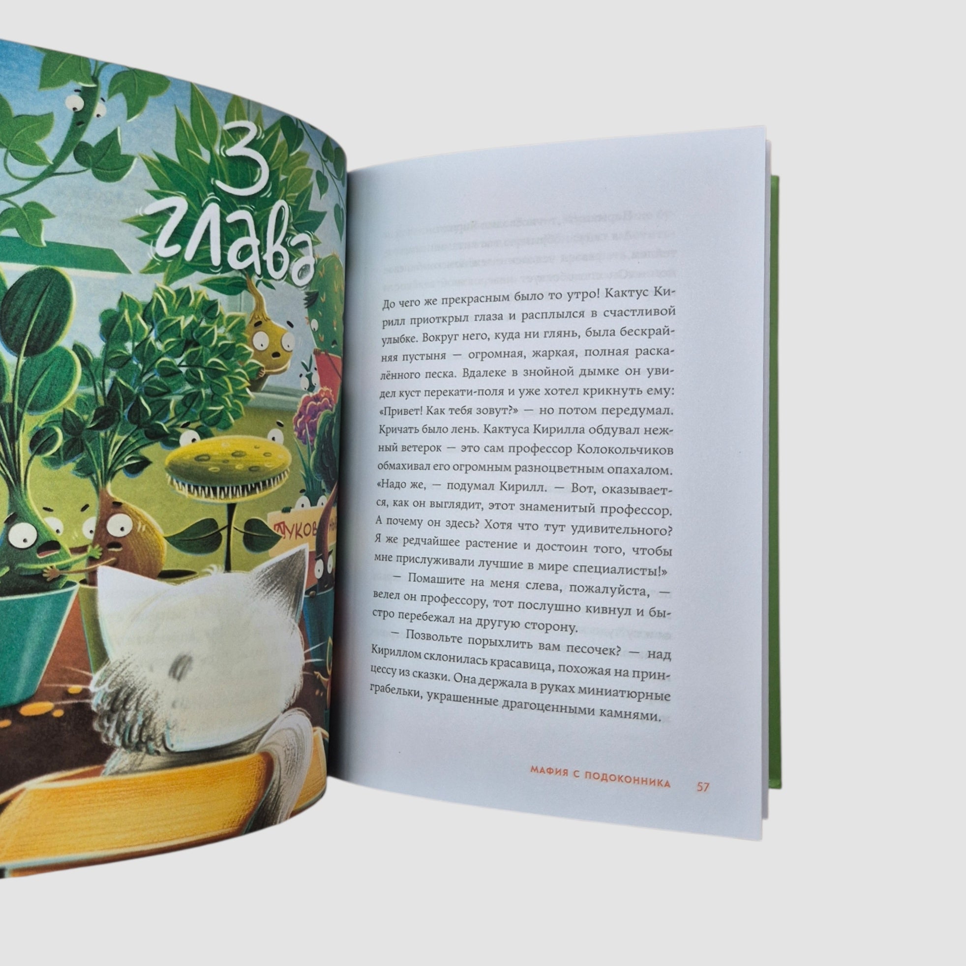 Мафия с подоконника