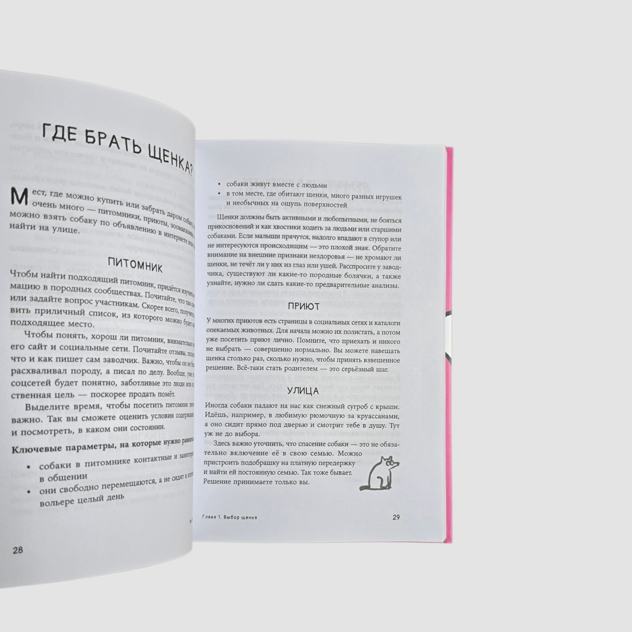 Мы погавкали! Как выбрать и воспитать щенка