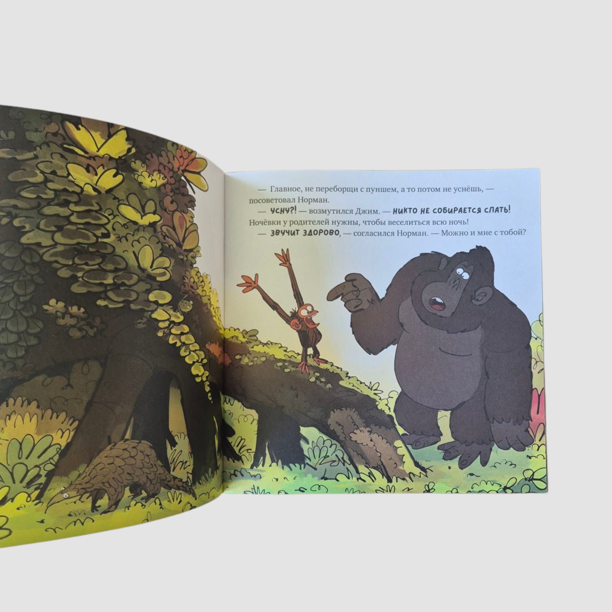 The Grumpy Monkey Doesn't Want to Sleep