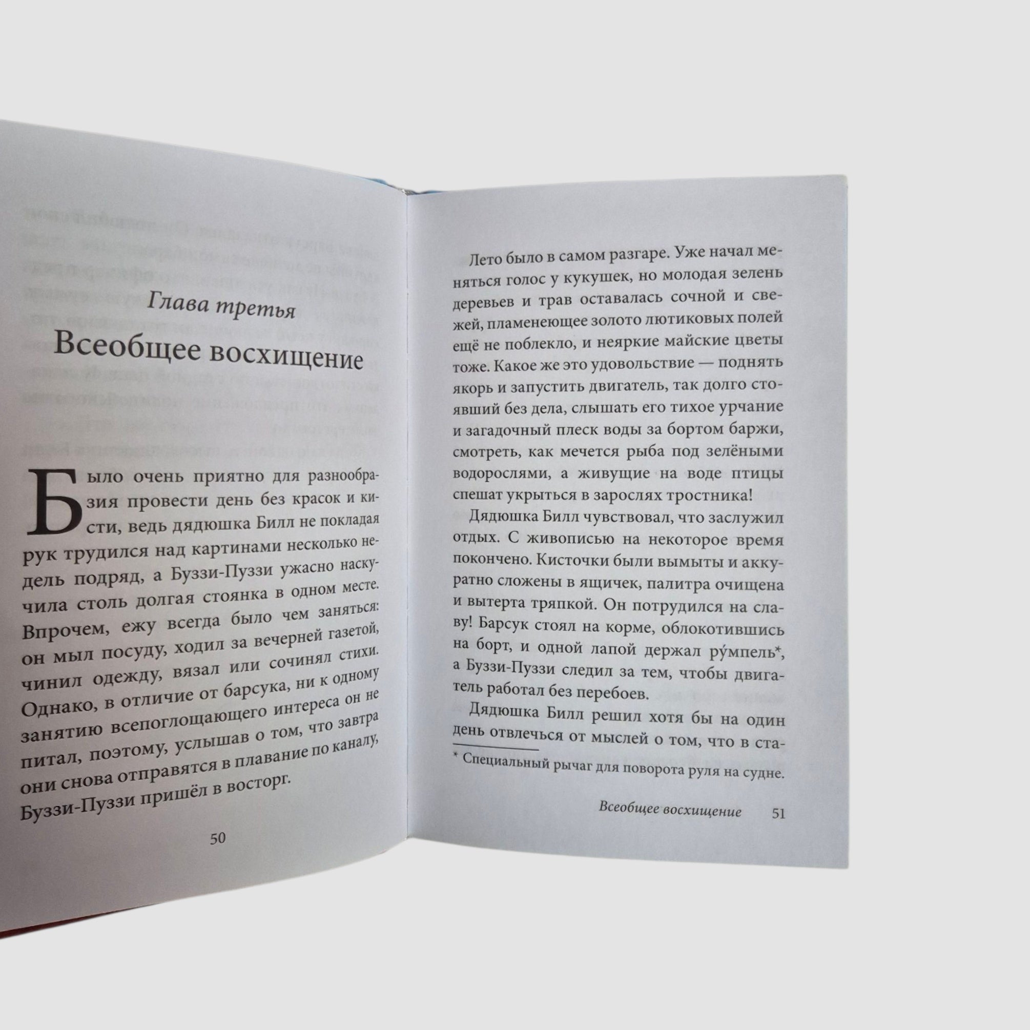 Билл Барсук и пираты