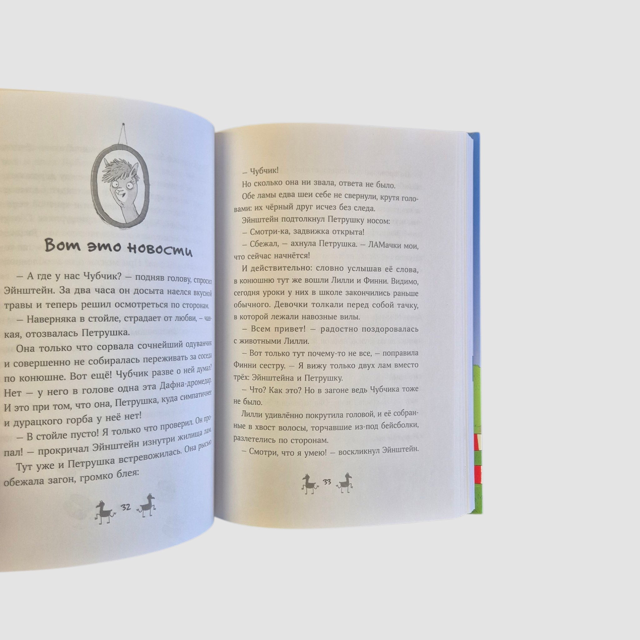 Gang of Llamas. In Seventh Heaven