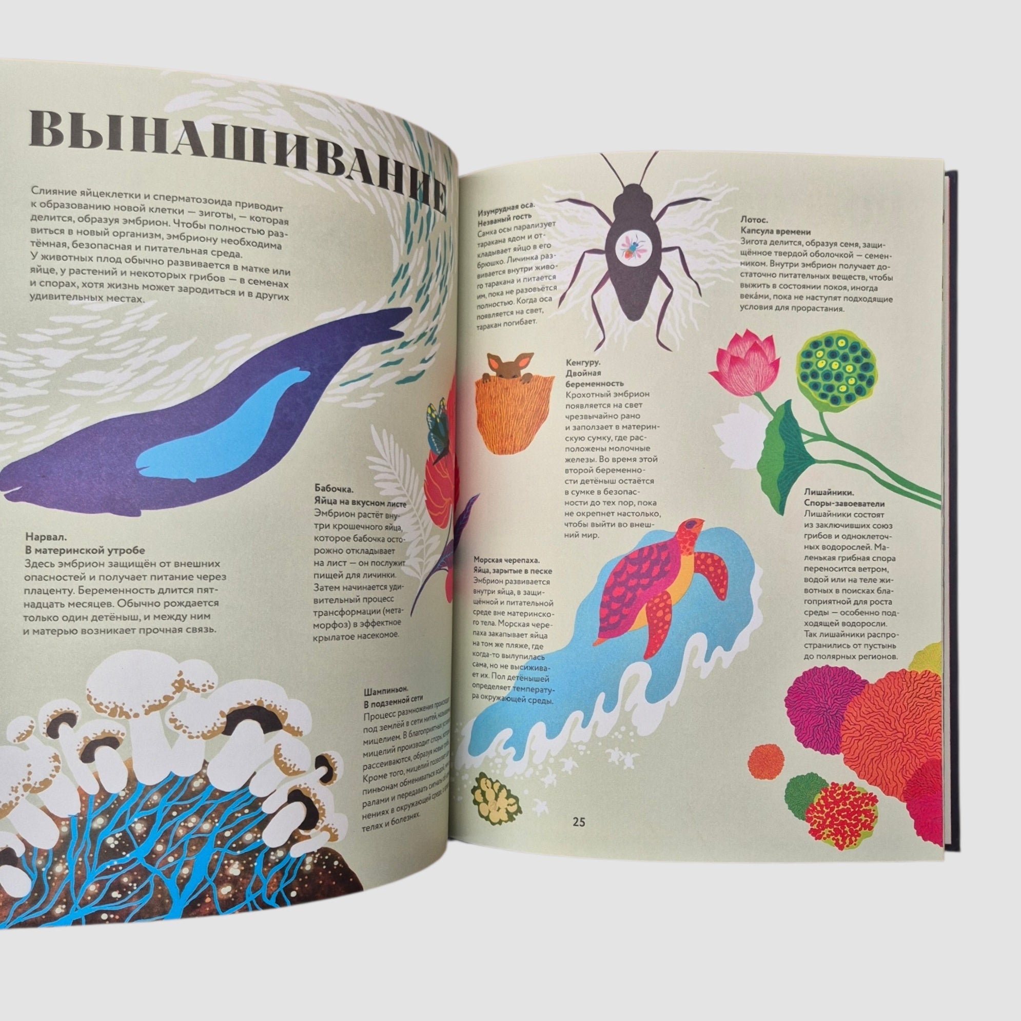 Чудесная книга жизни