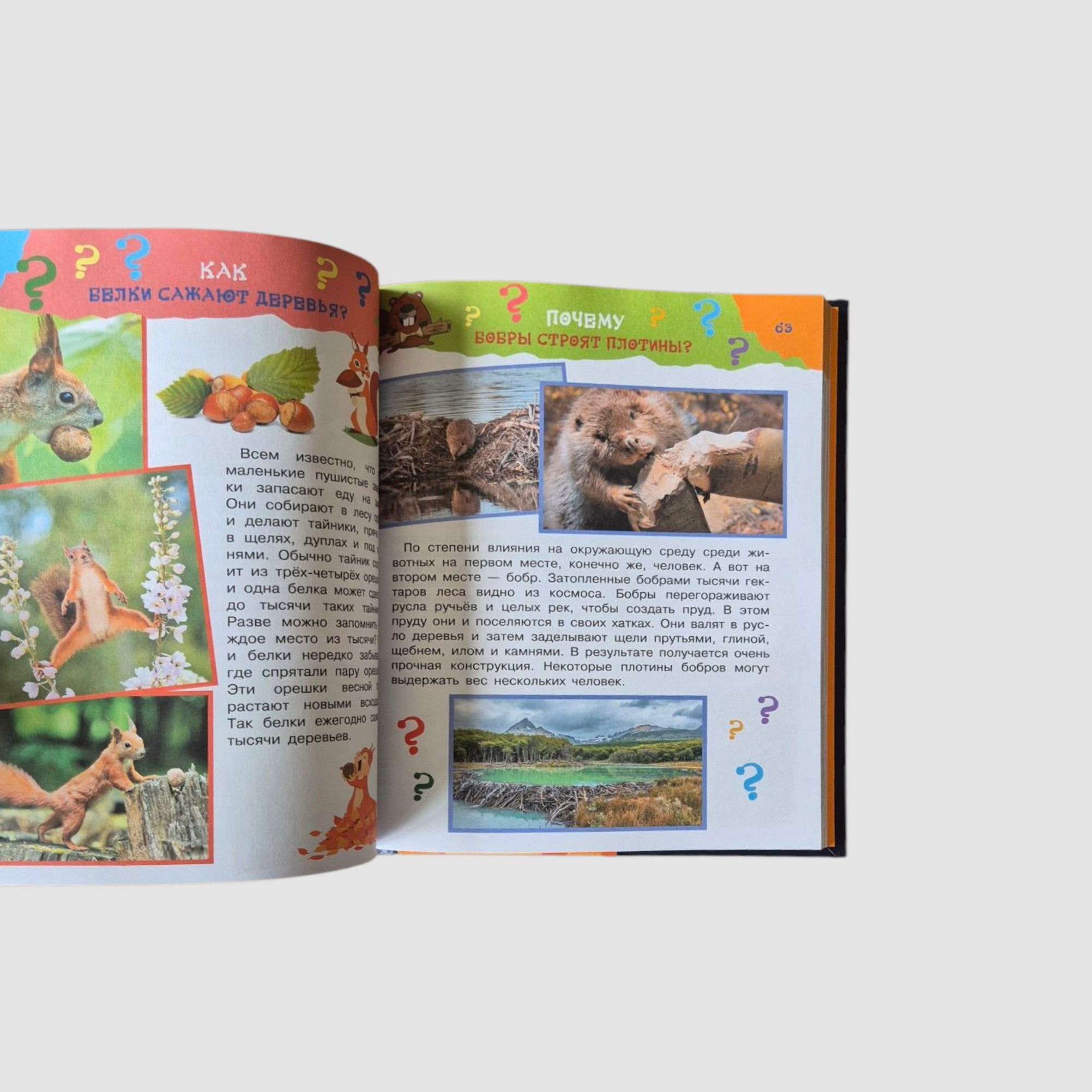 Большая книга почему