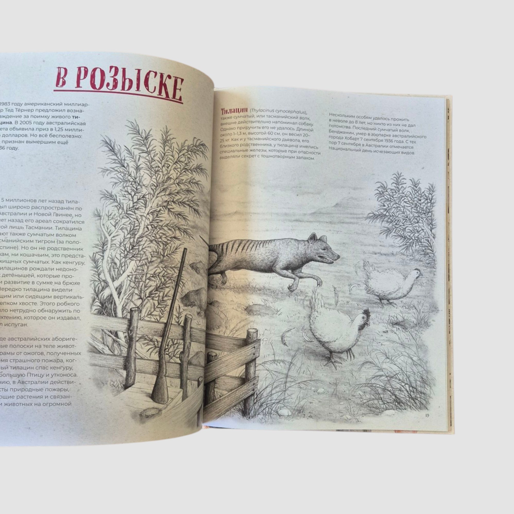 На грани исчезновения: животный мир Земли