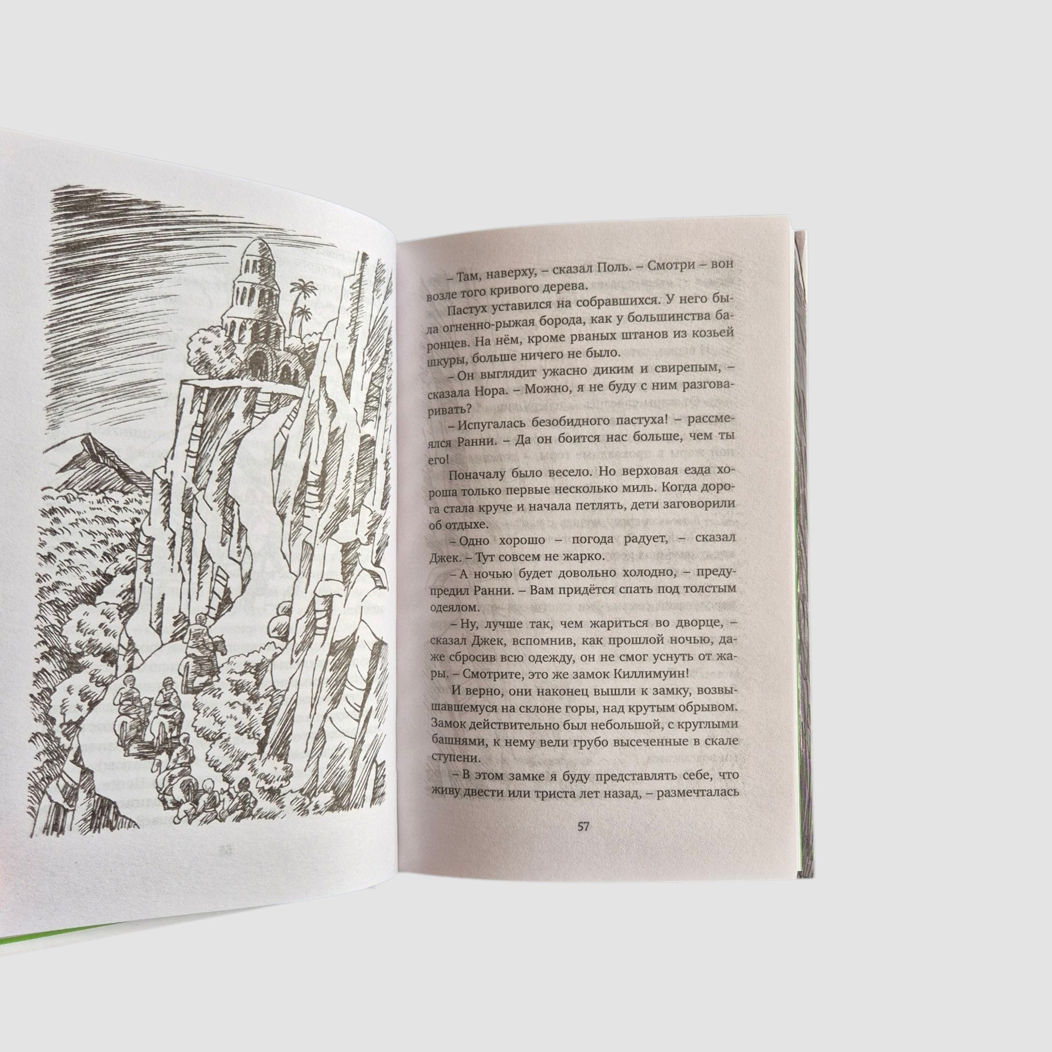 Тайна дремучего леса