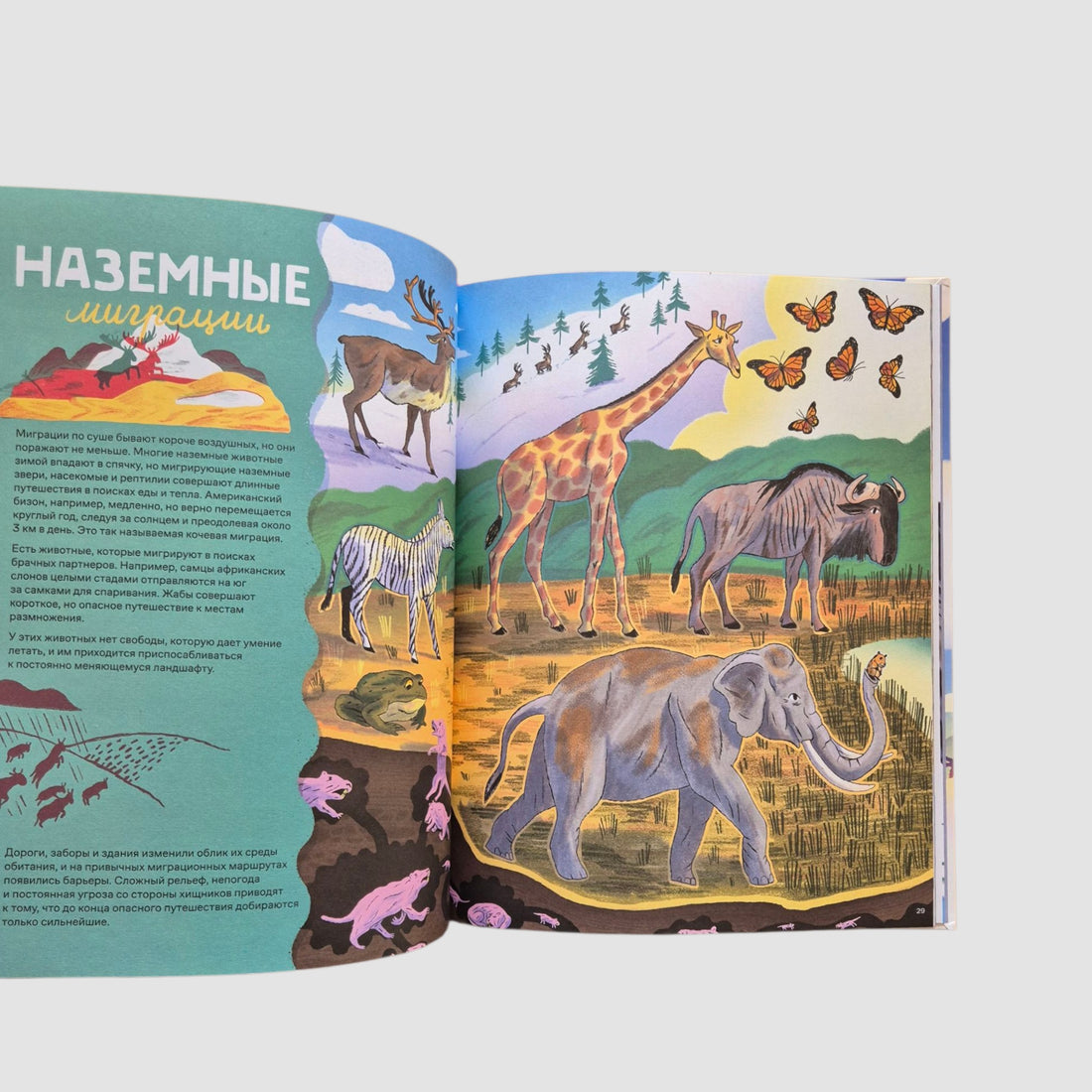 Невероятные странствия животных