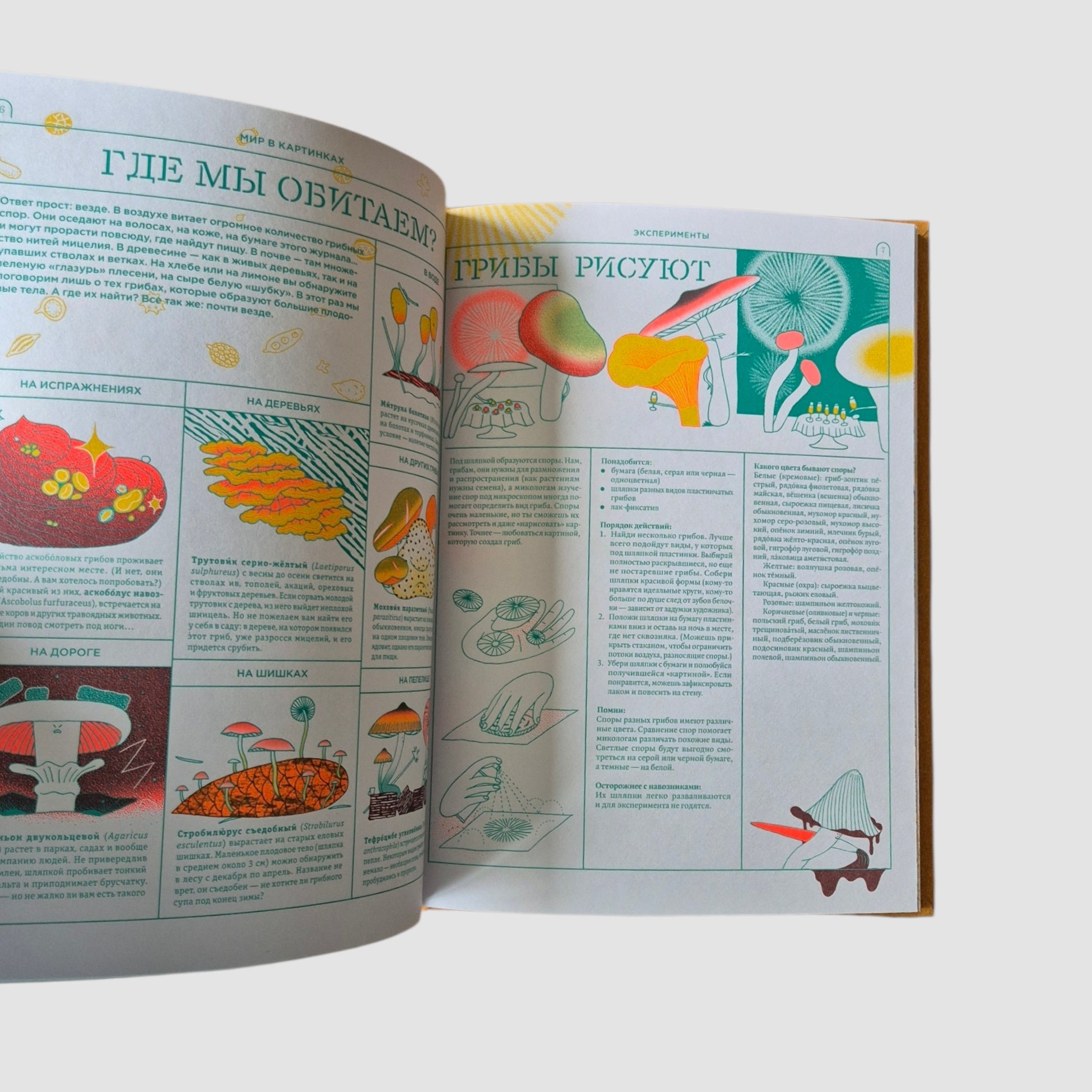 Мико. Полный путеводитель по миру грибов