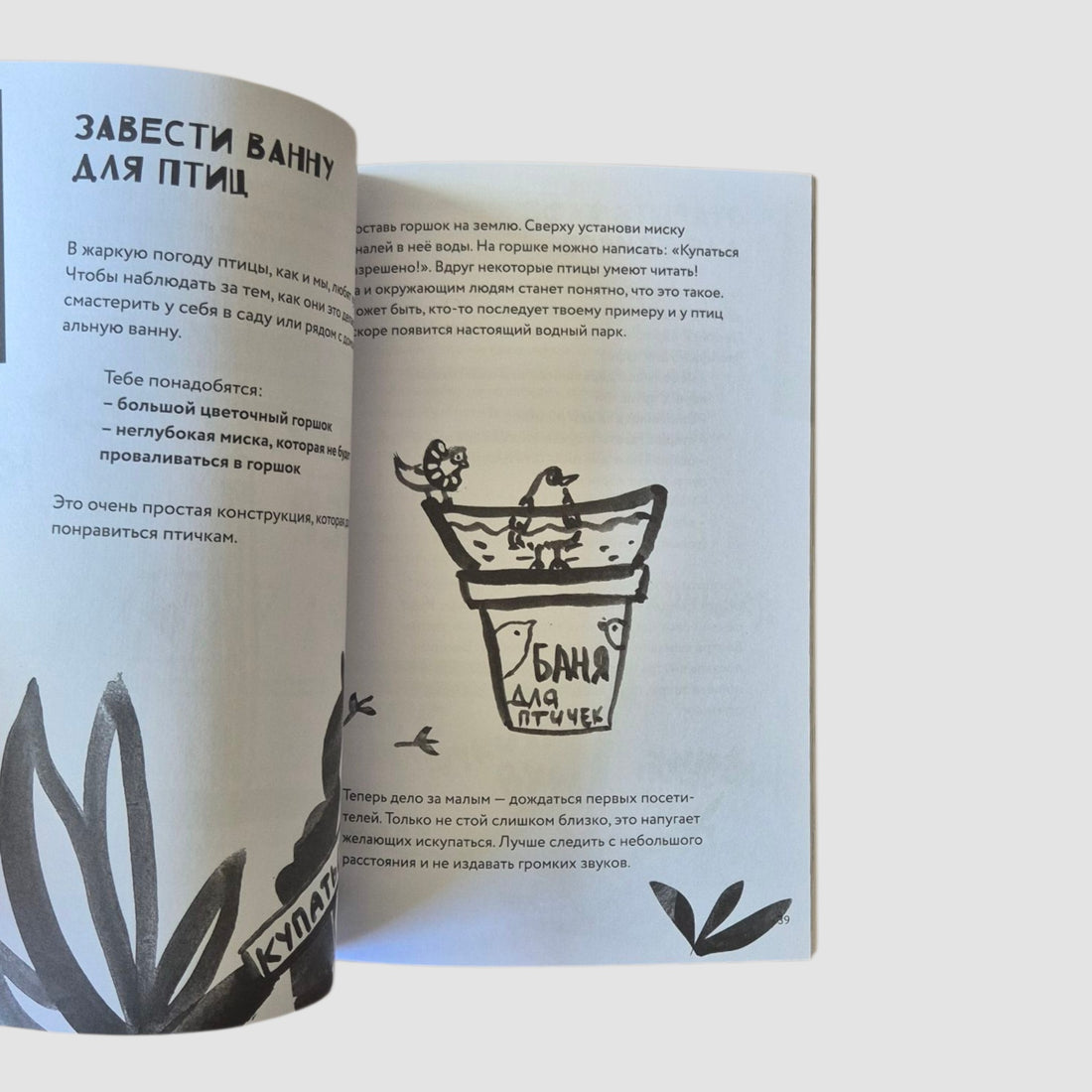 50 познавательных игр на природе