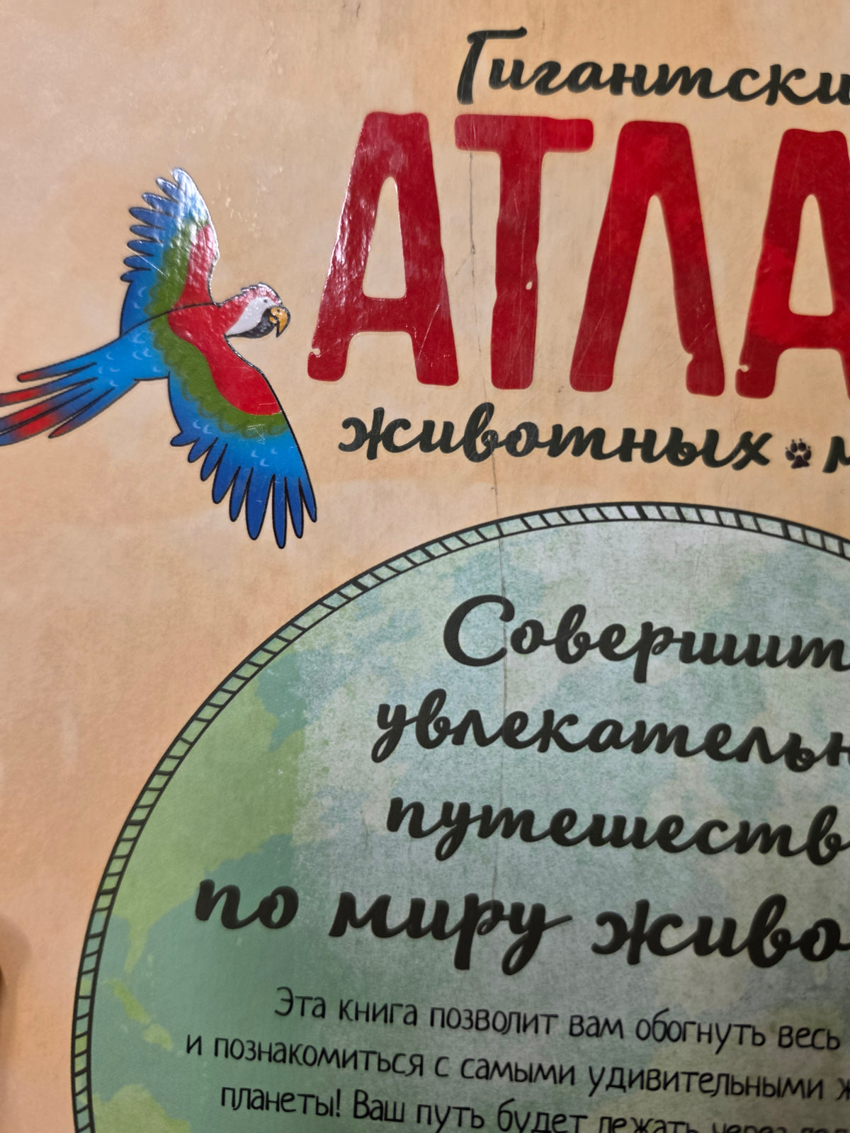 Гигантский атлас животных мира (внешний дефект)
