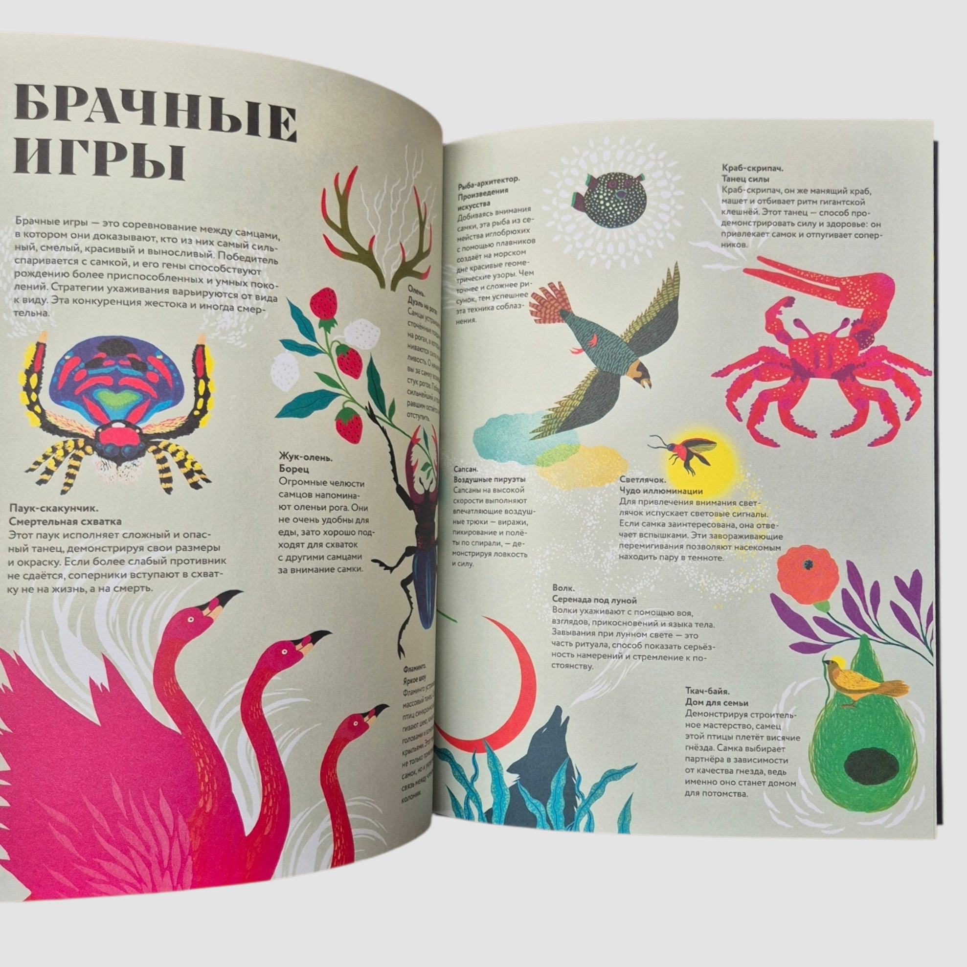 Чудесная книга жизни