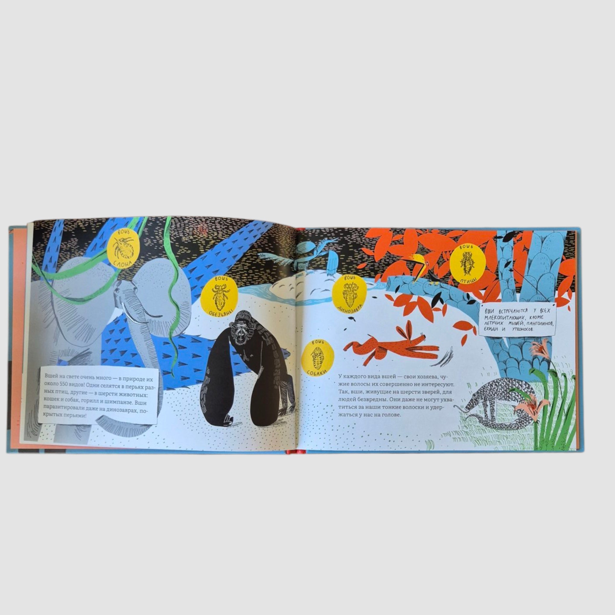 Почему голова чешется?