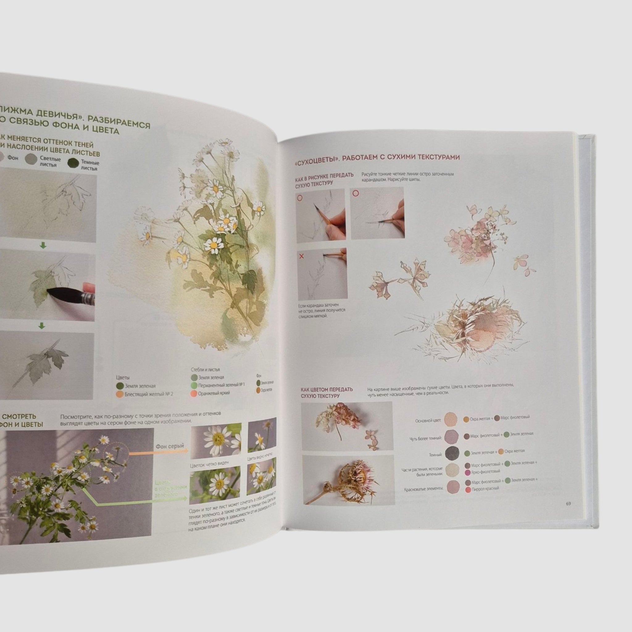 Цветы японской акварелью. Рисуем розы, тюльпаны, гортензии и сухоцветы