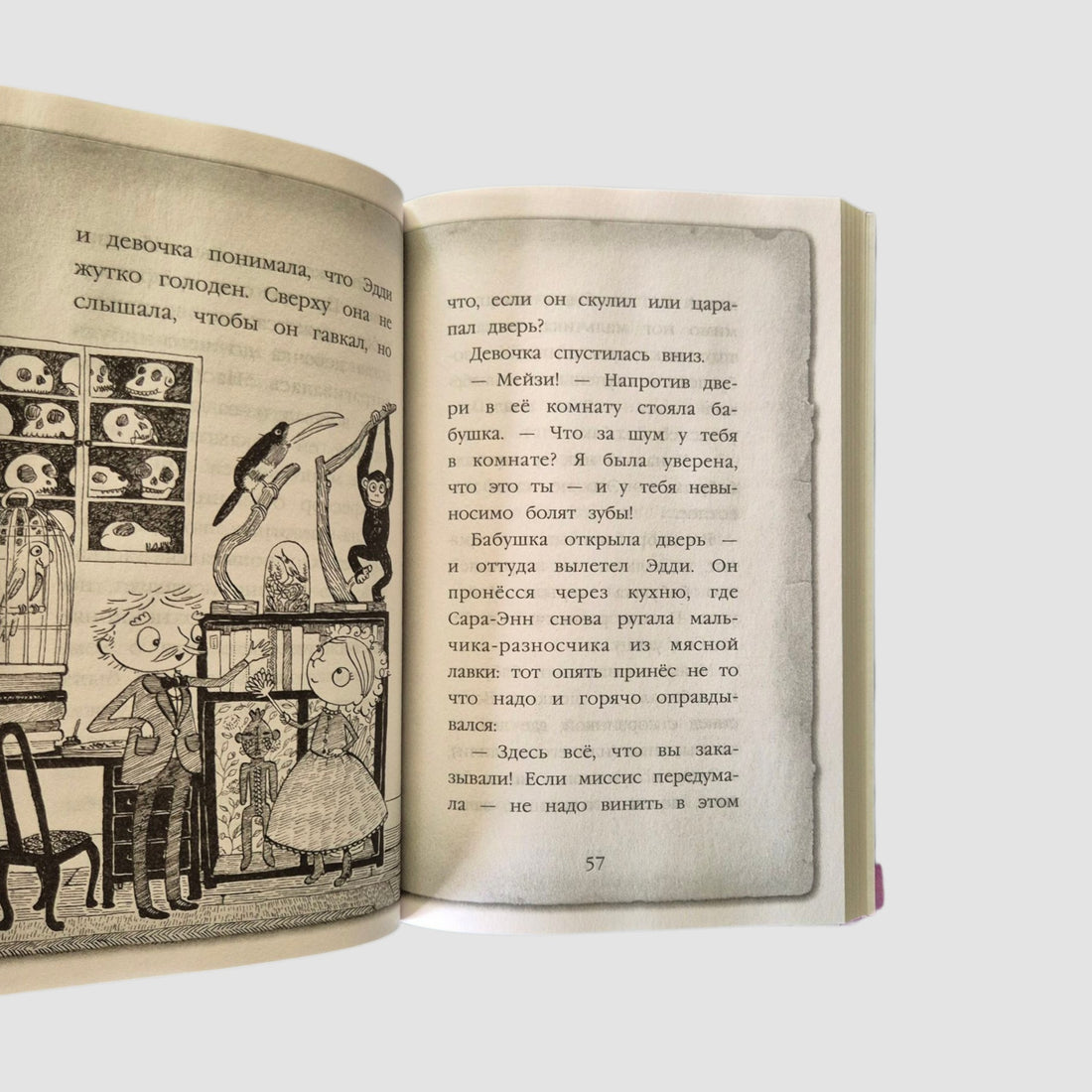 Мейзи Хитчинс. Загадка закрытого ящика