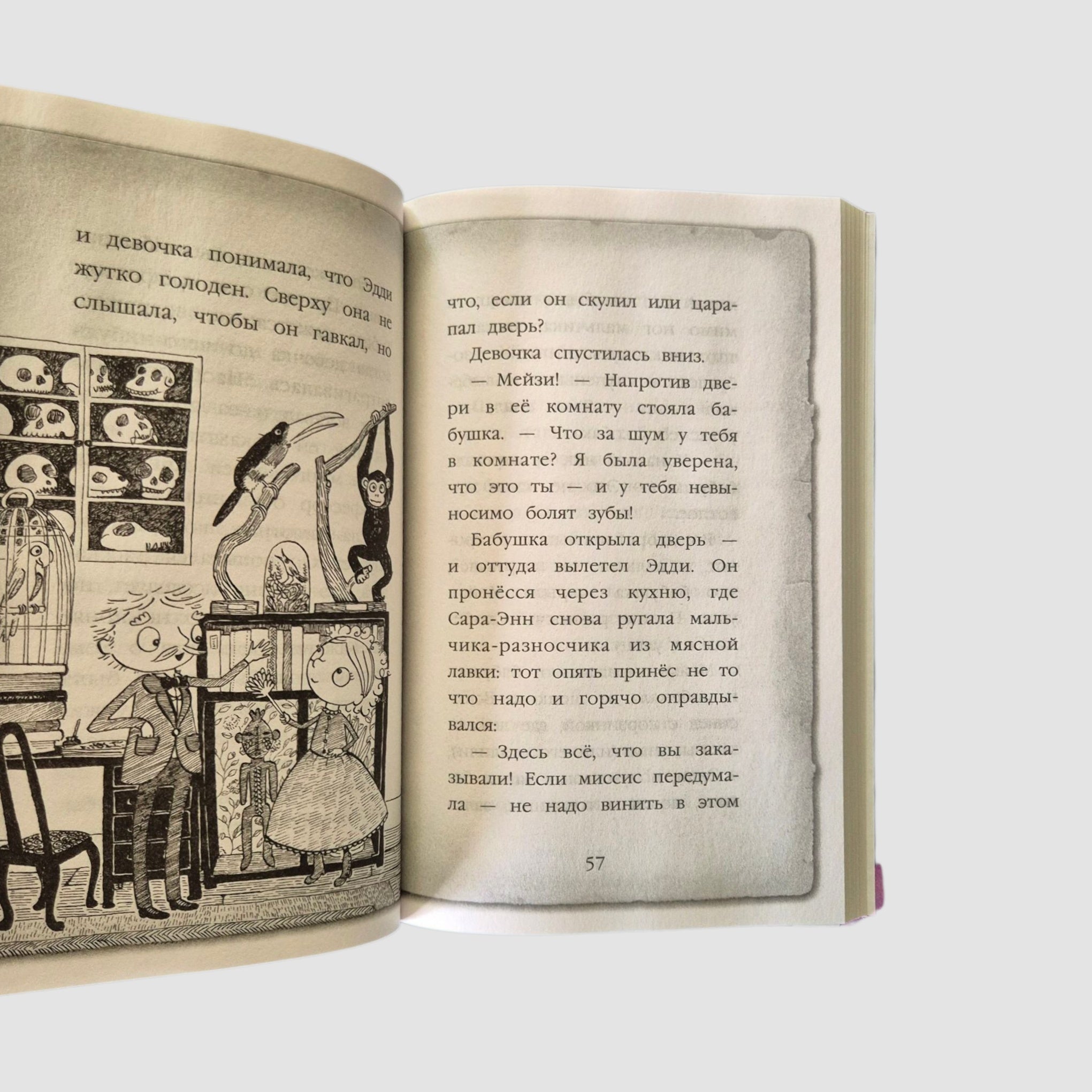 Maisie Hitchins. The Mystery of the Locked Box